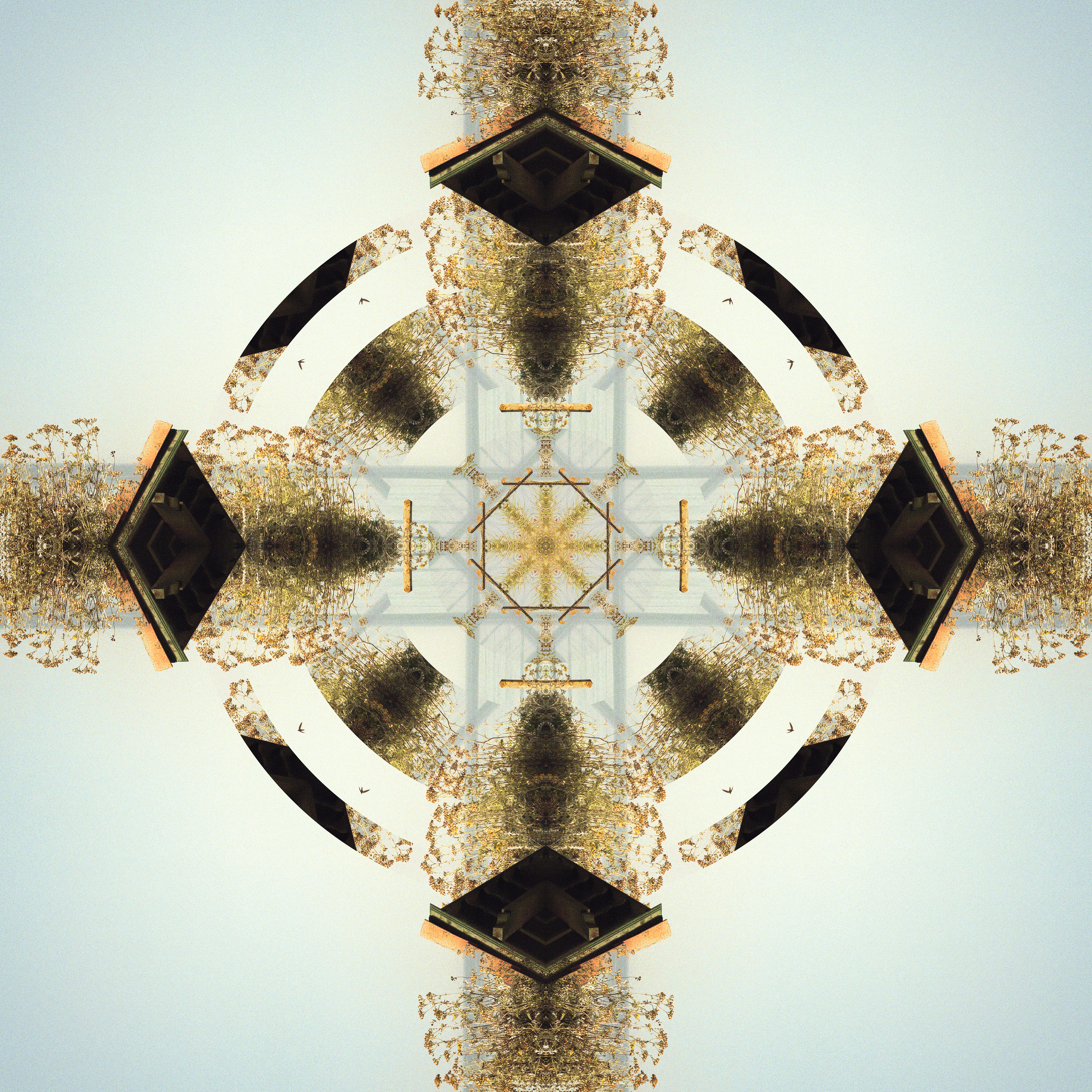Flat Circles #4
