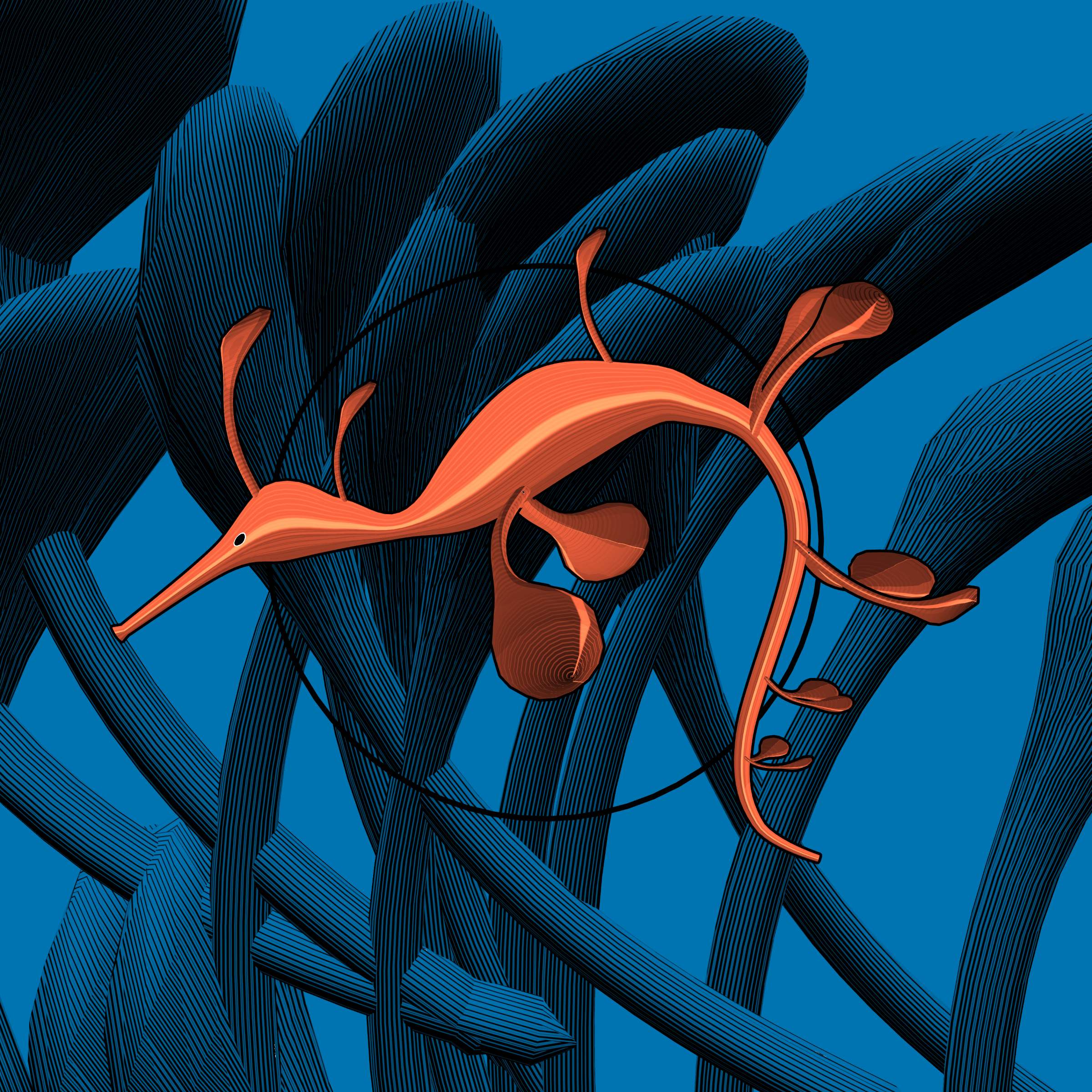 Seadragons #100