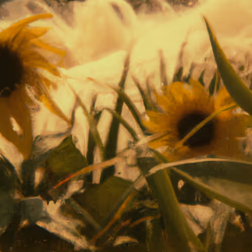 Tsunflower Chaos #1