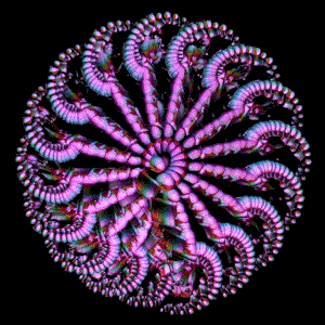 Flower 7