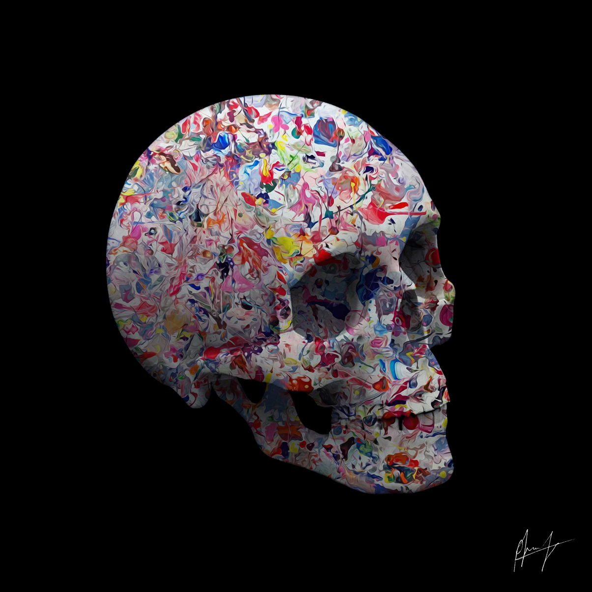 SKULLS BY PIERRE #005