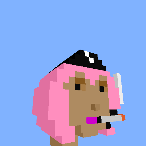PunkVoxels #5513