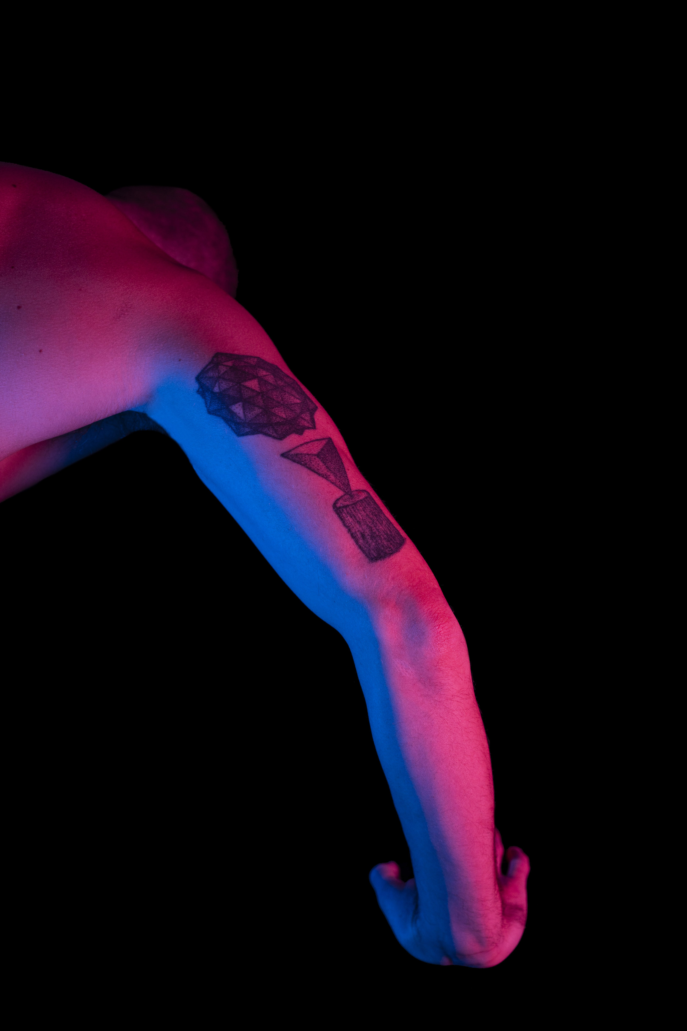 Reconstruction of the Fuegian nature - Austral concept tattoo