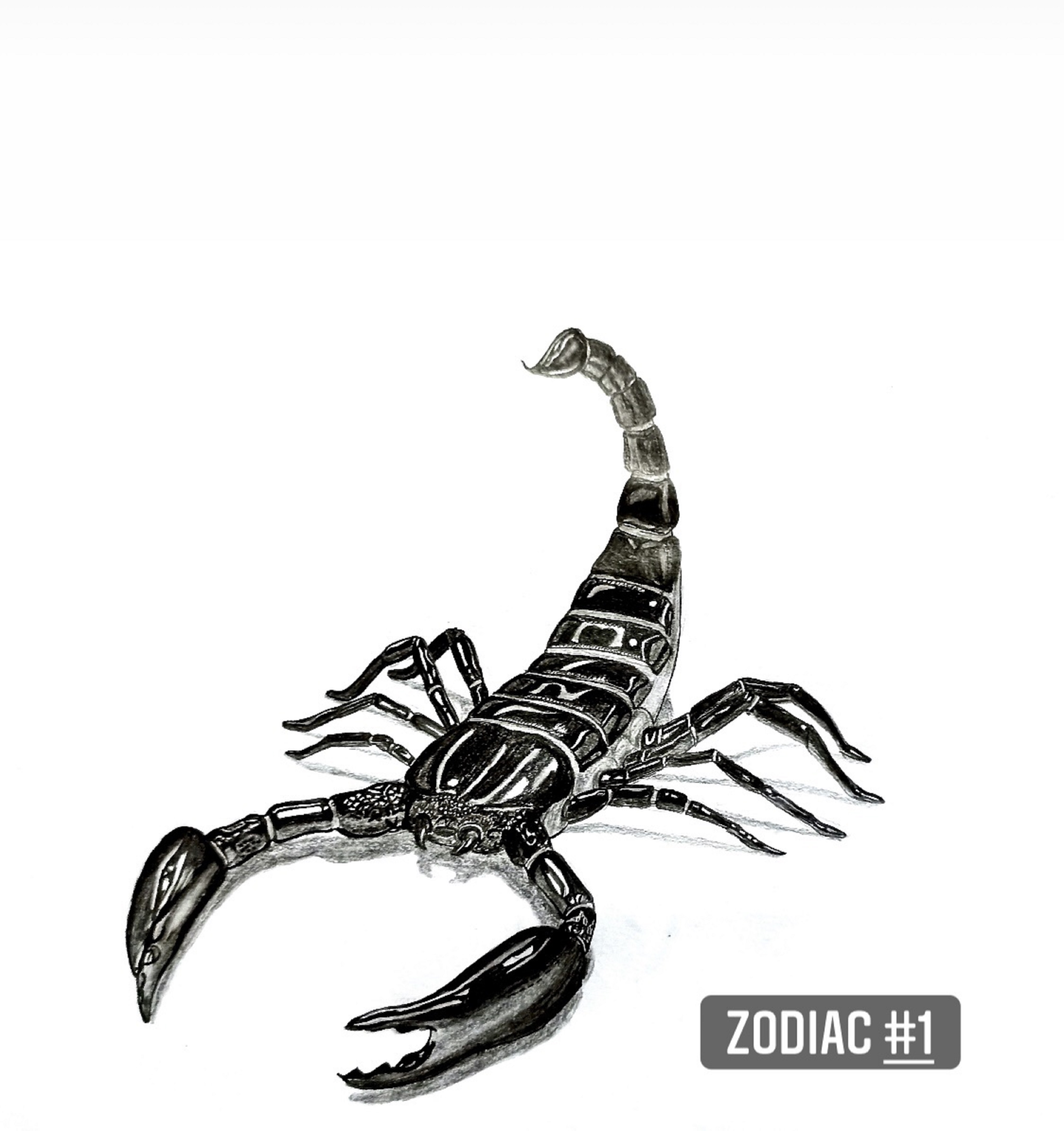 Scorpio - #1 with Zodiac collection. 