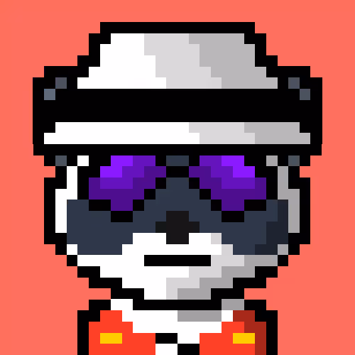 Raccoon #70