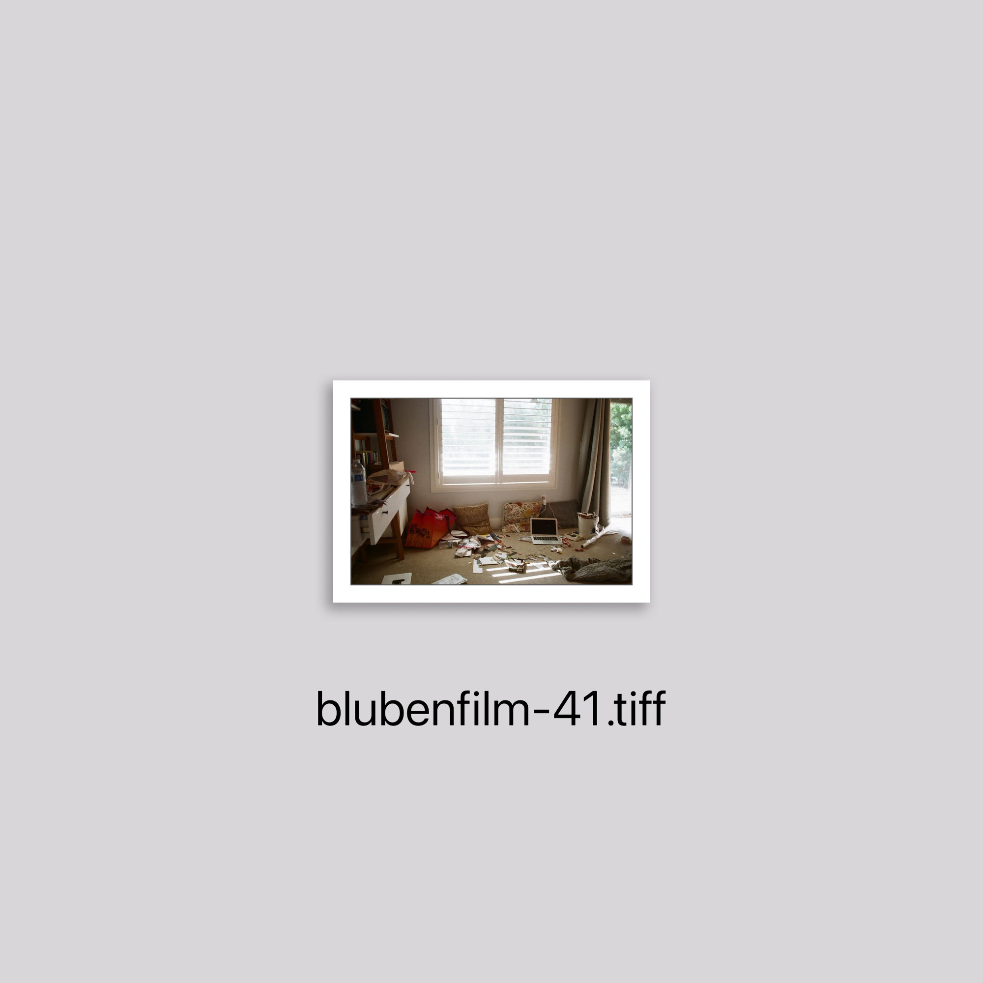 blubenfilm-41.tiff