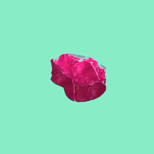 Steak #600