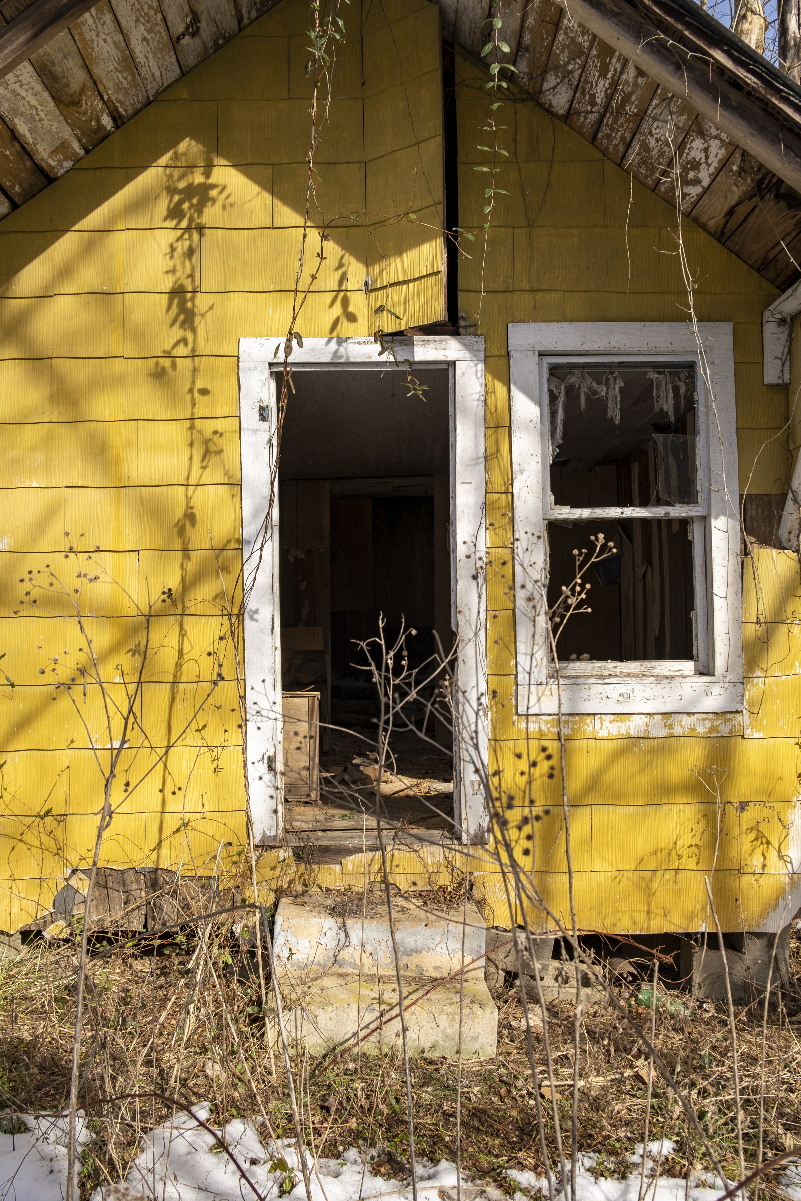 The Little Yellow House