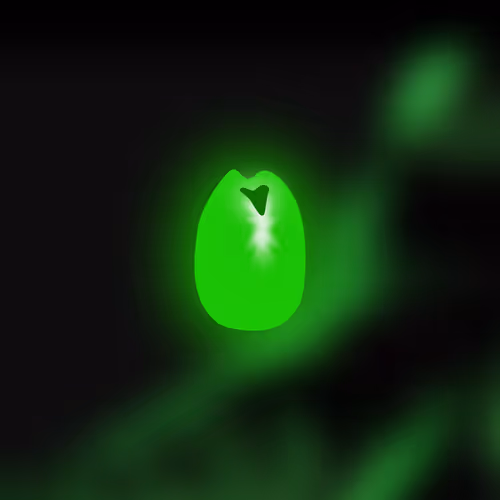 Alien Pass