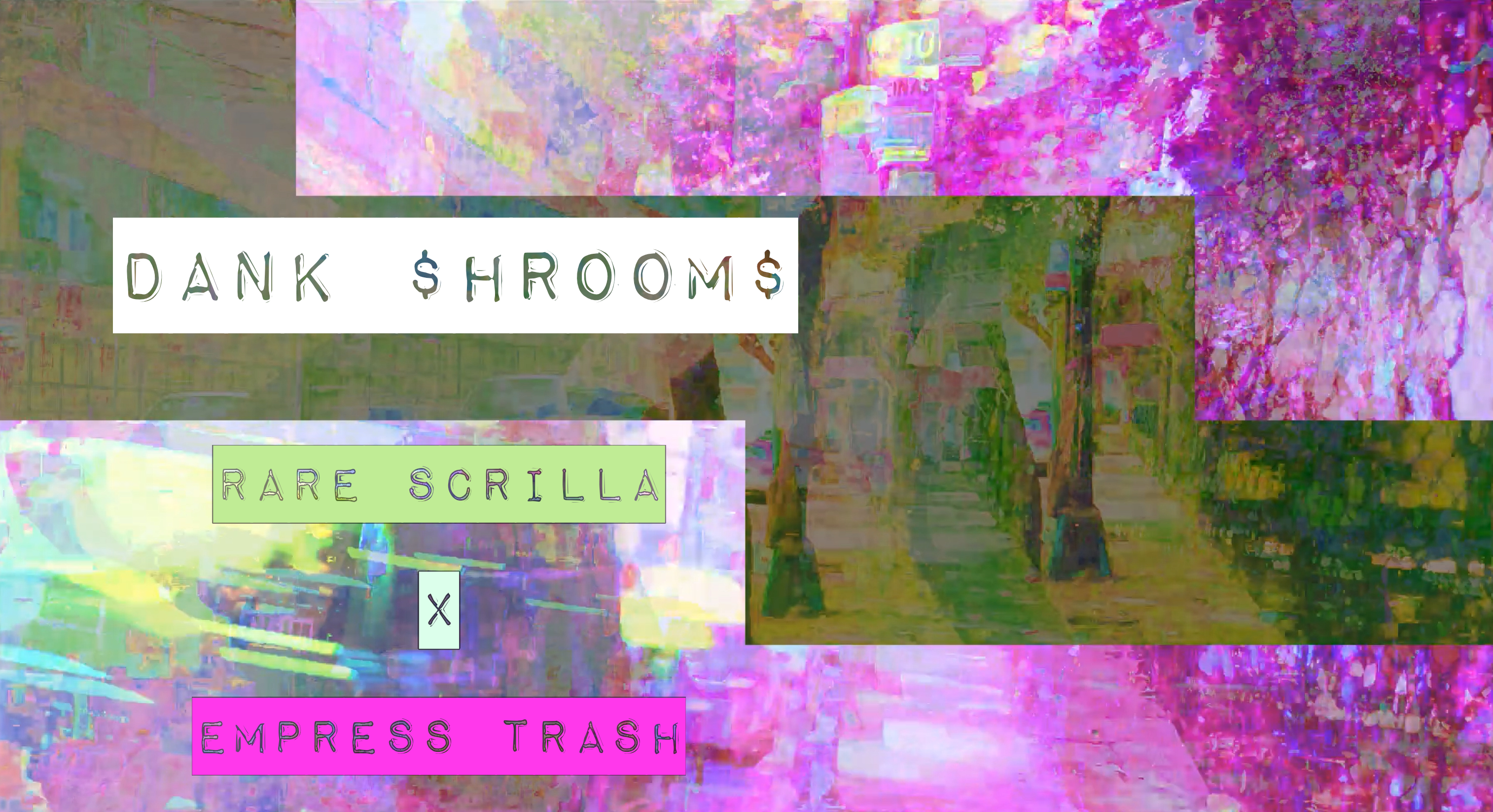 DANK $HROOM$