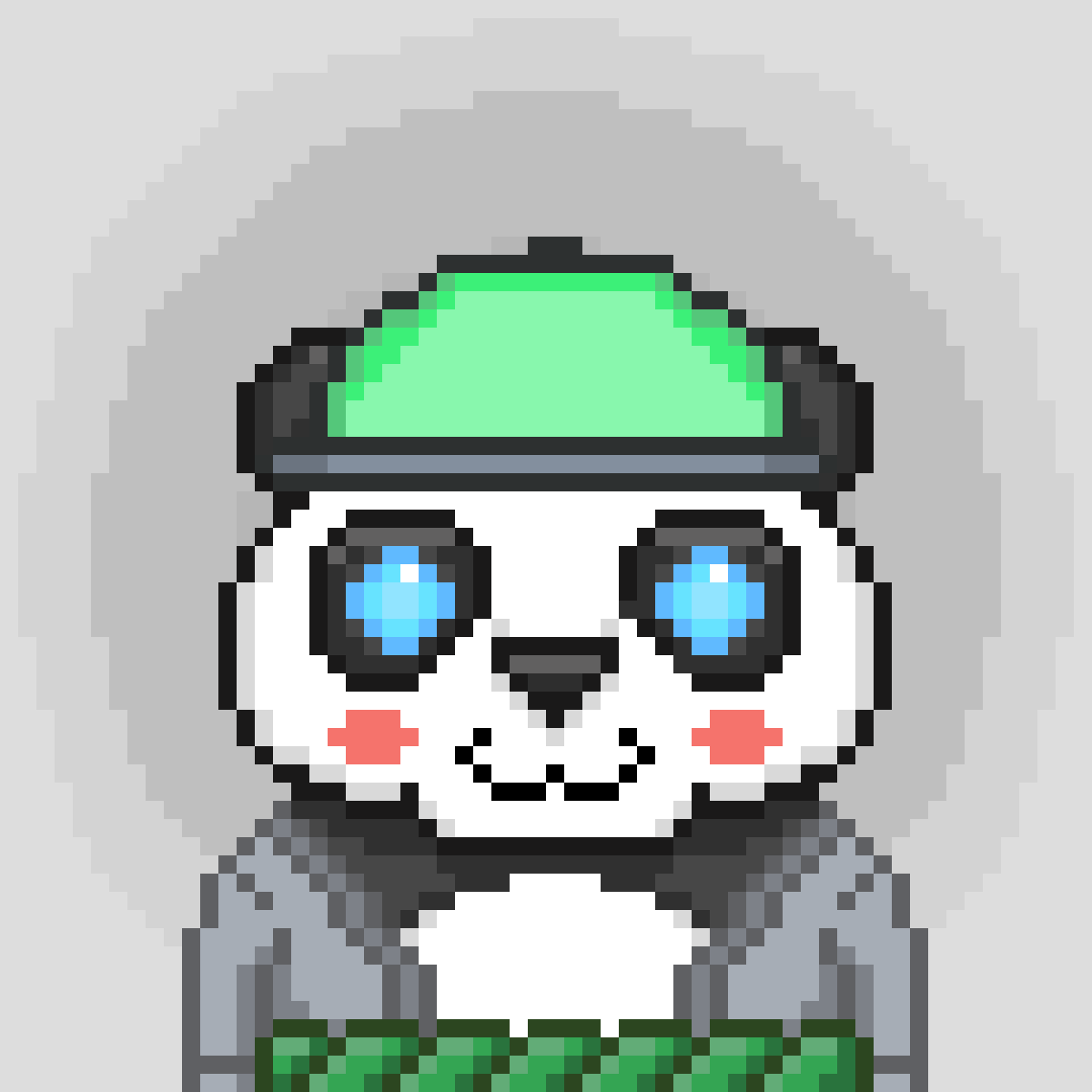 Panda 598