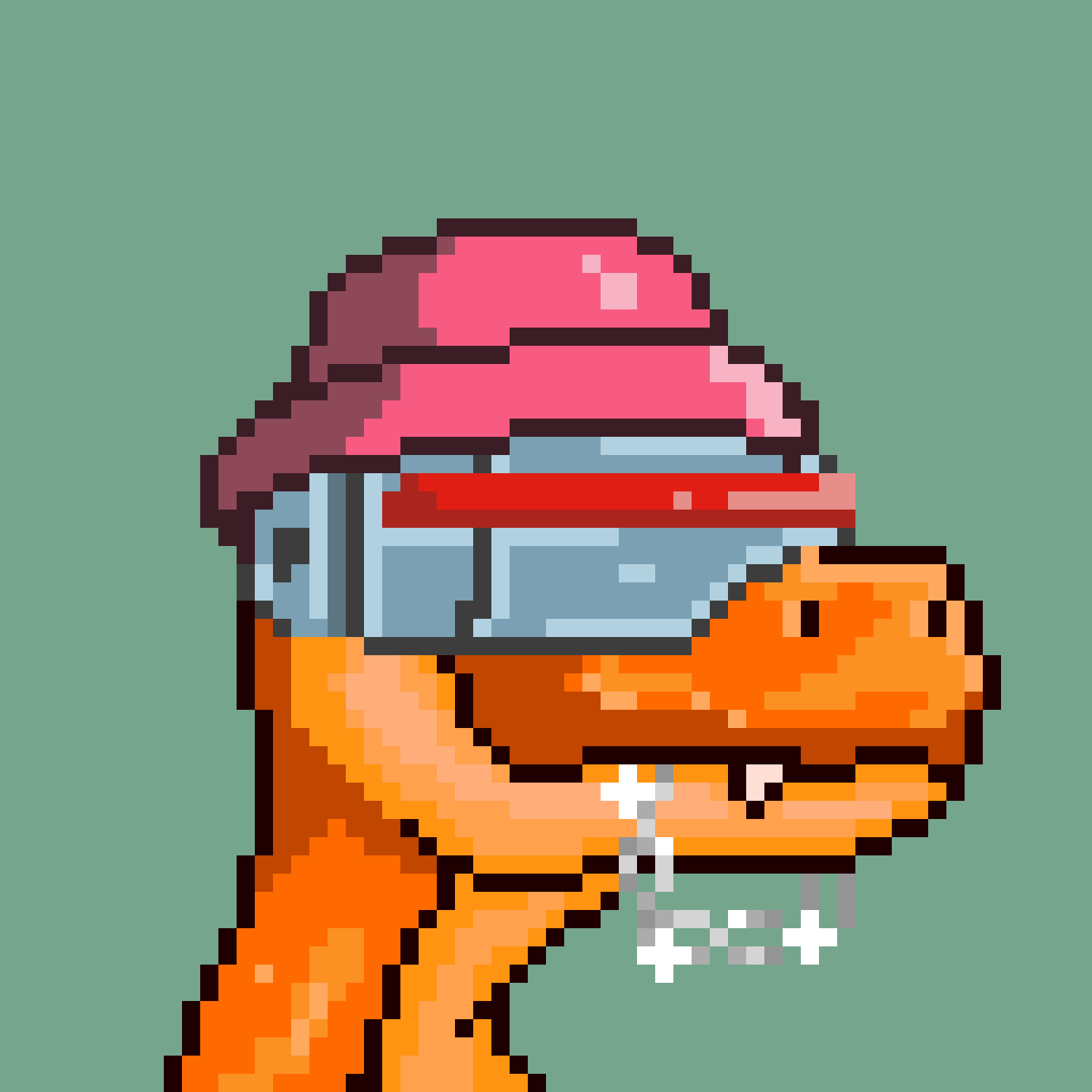 Raptor #8693