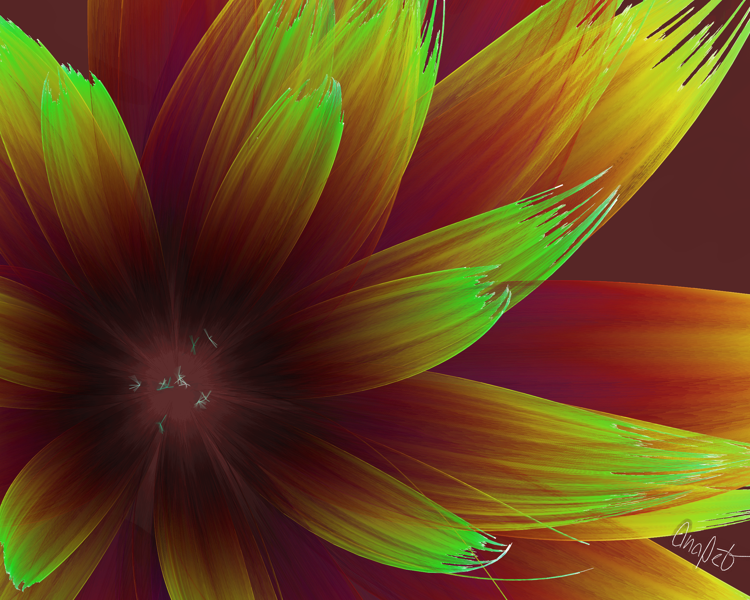 Fleur #20