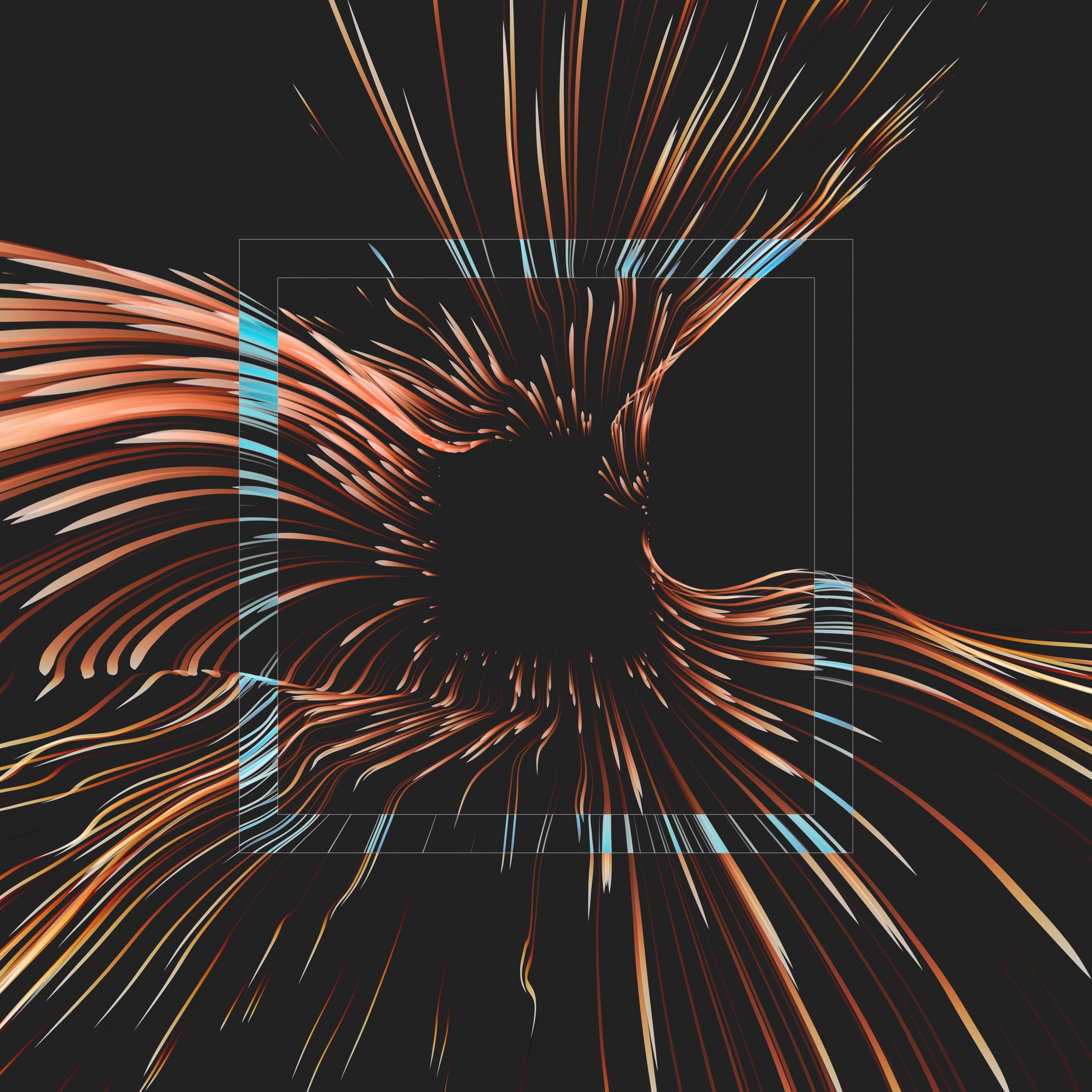 Vortex #1095