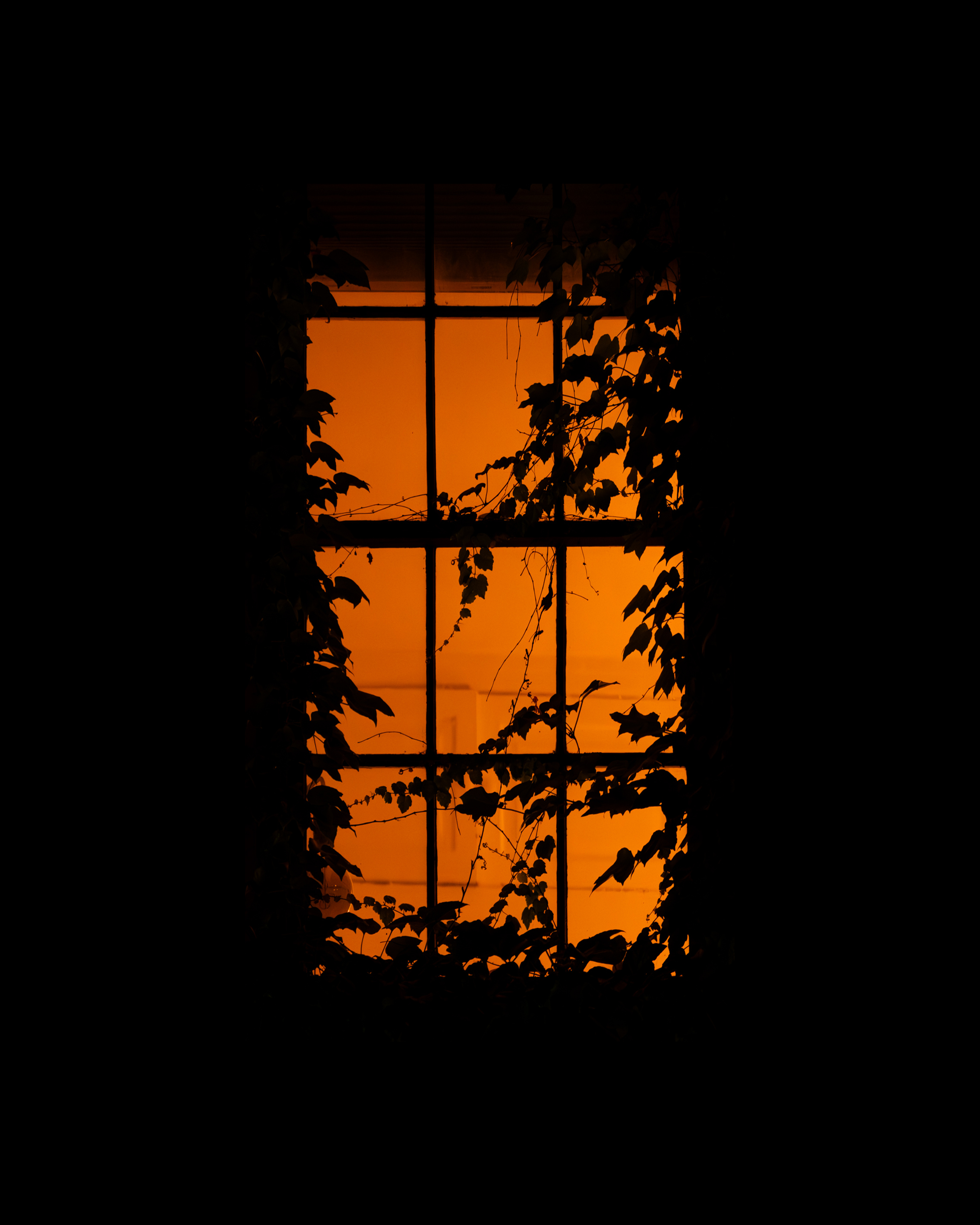 WINDOW 397