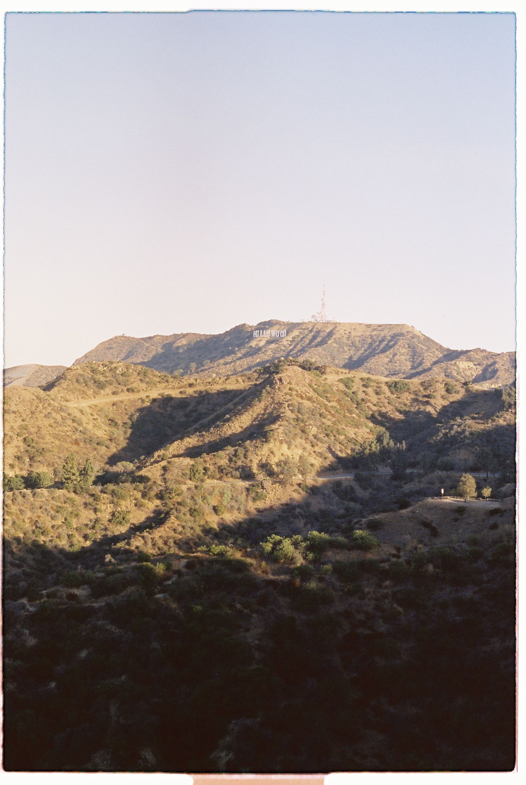 hollywood hills