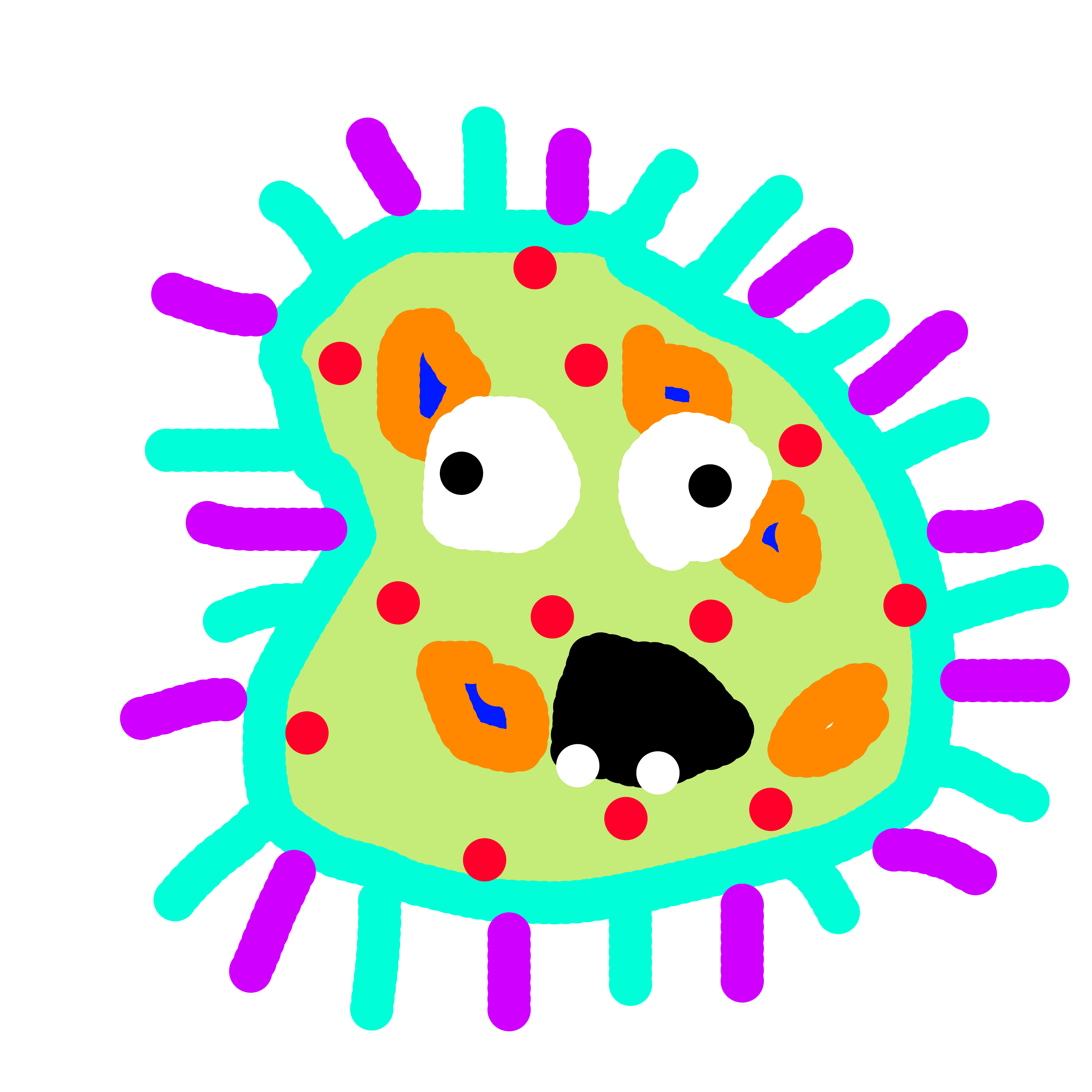 Amoeba