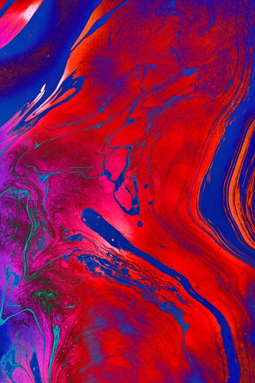 Amoeba