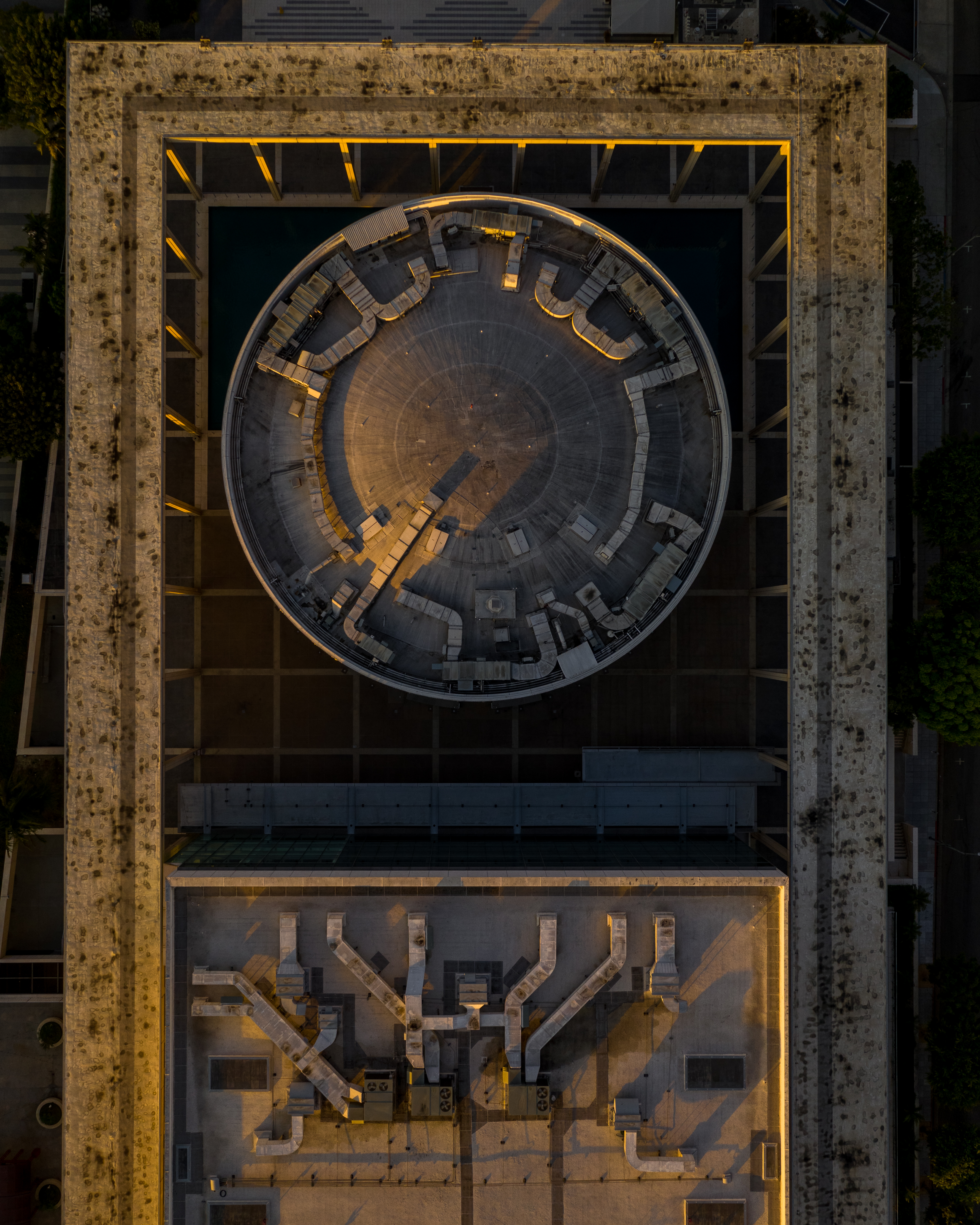 Aerial Art Collector Card #14/50