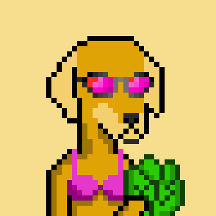 ViralataFunk #3560