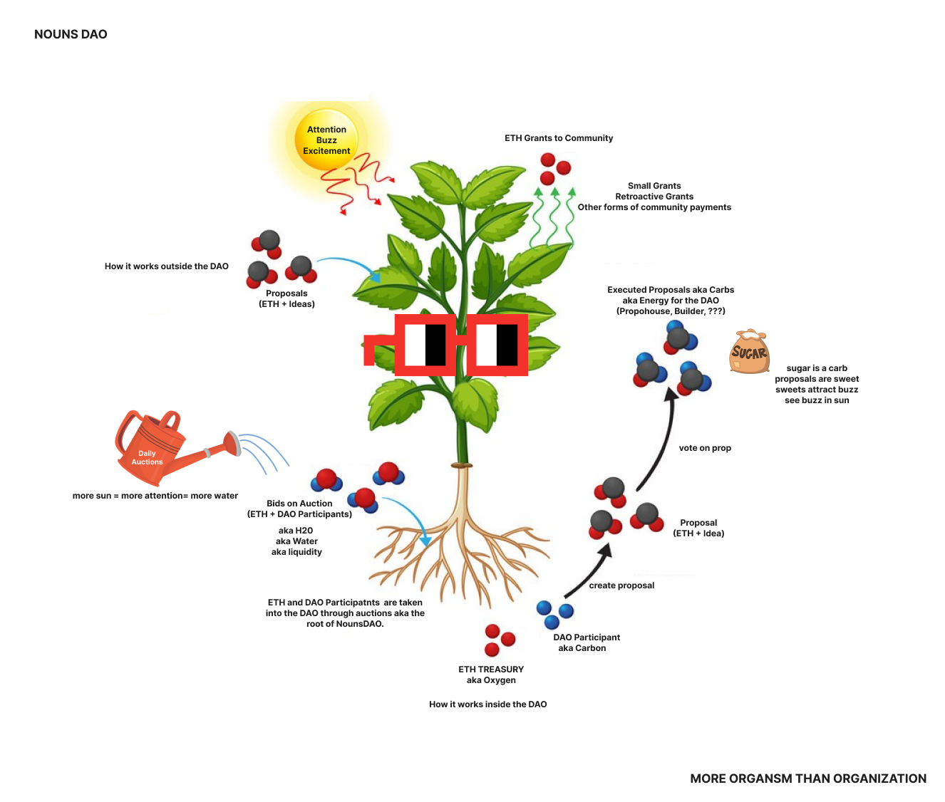 Nouns as Plants. 1246