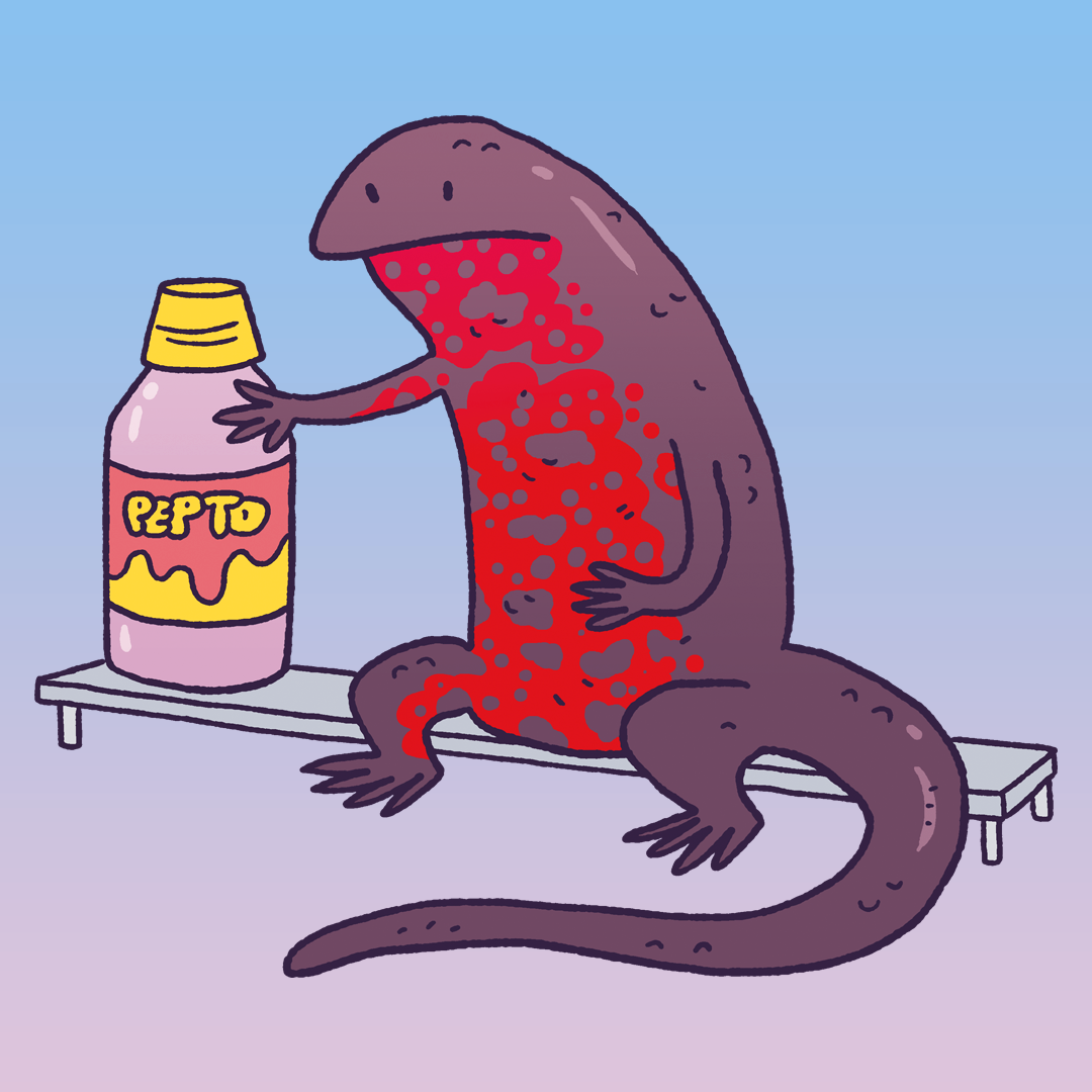 Firebelly Newt #298