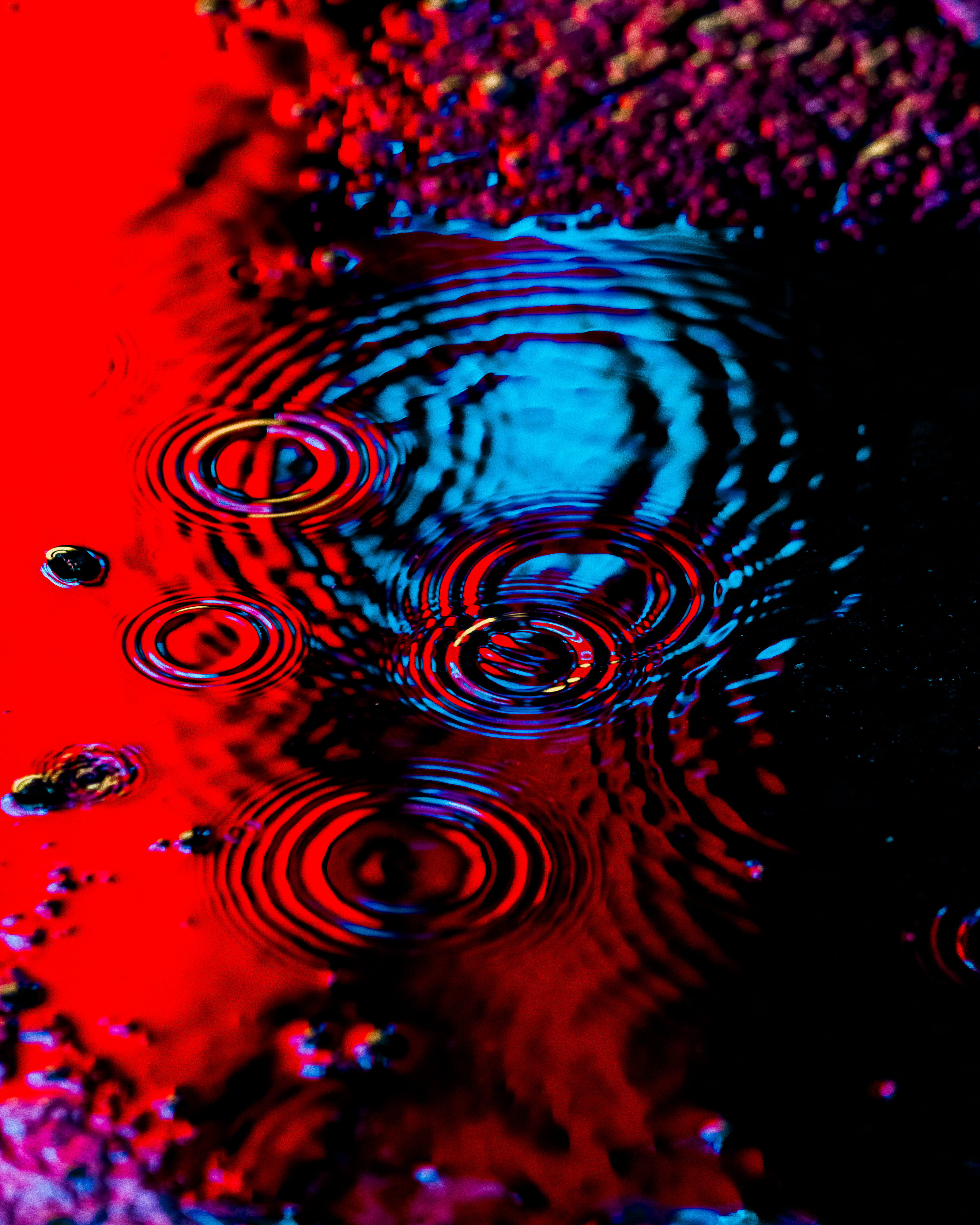 DRIP #2: REFLECTION