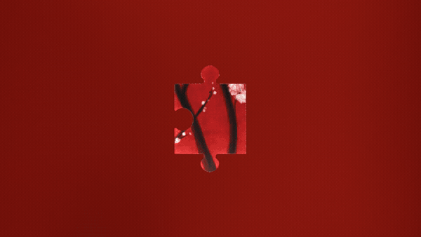 Fragment 21