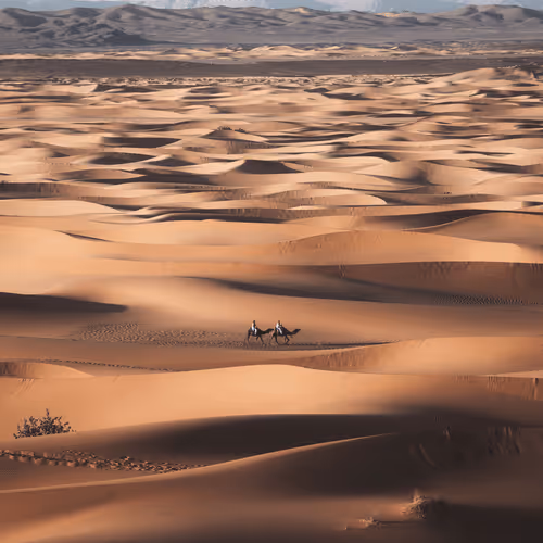 Sahara Desert
