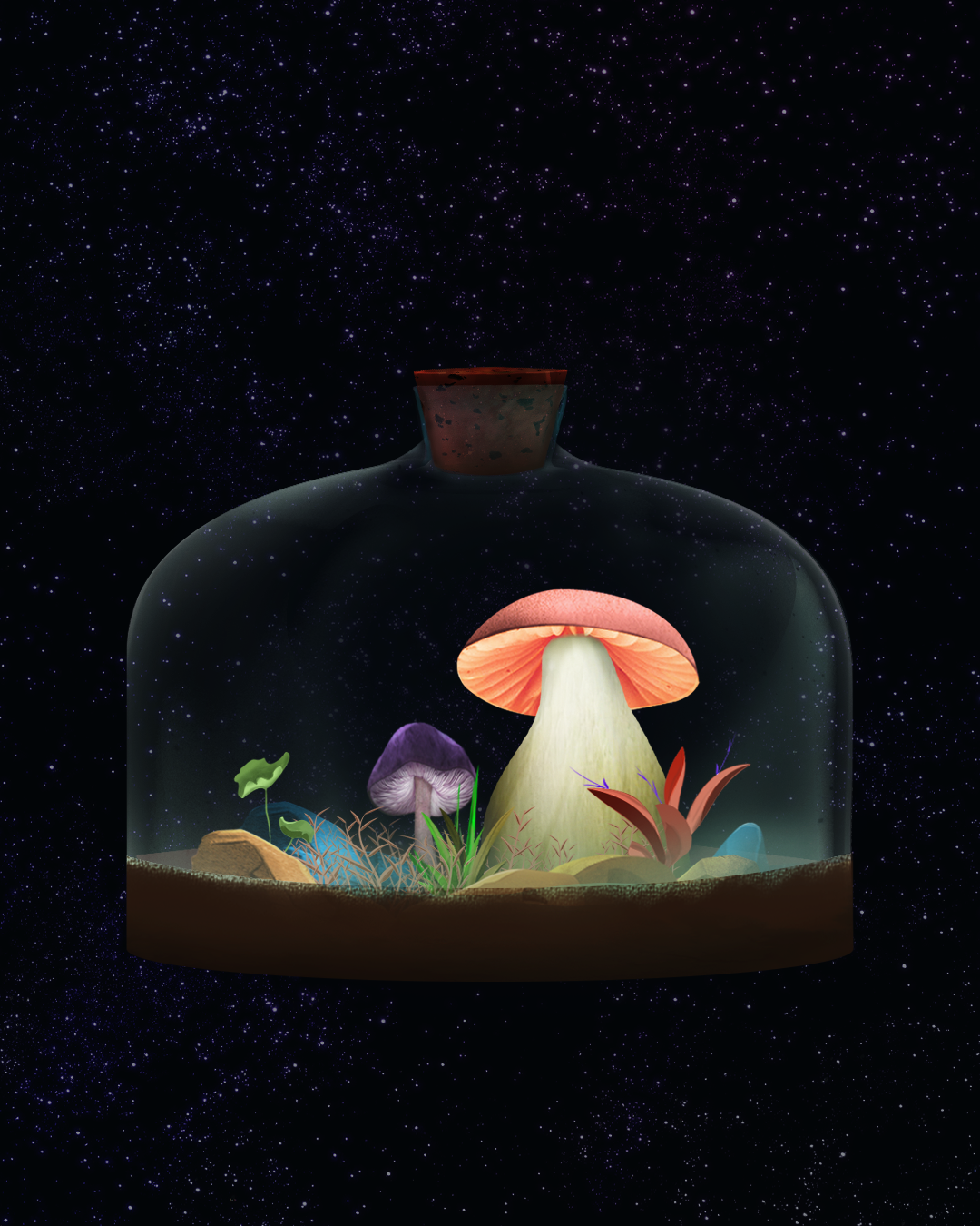 Mushroom #2081