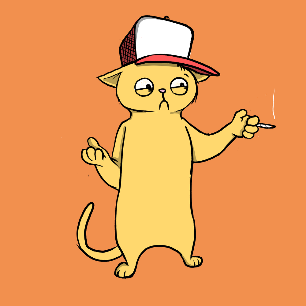 Blazed Cat #5543