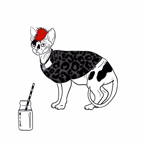 The Sad Cat #5605