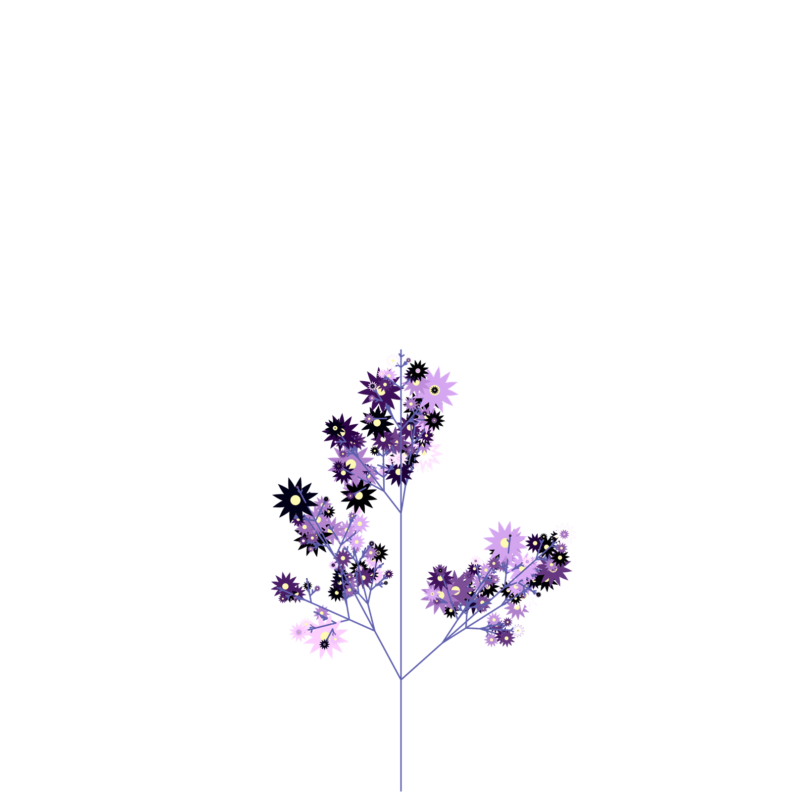 Skull Polkweed