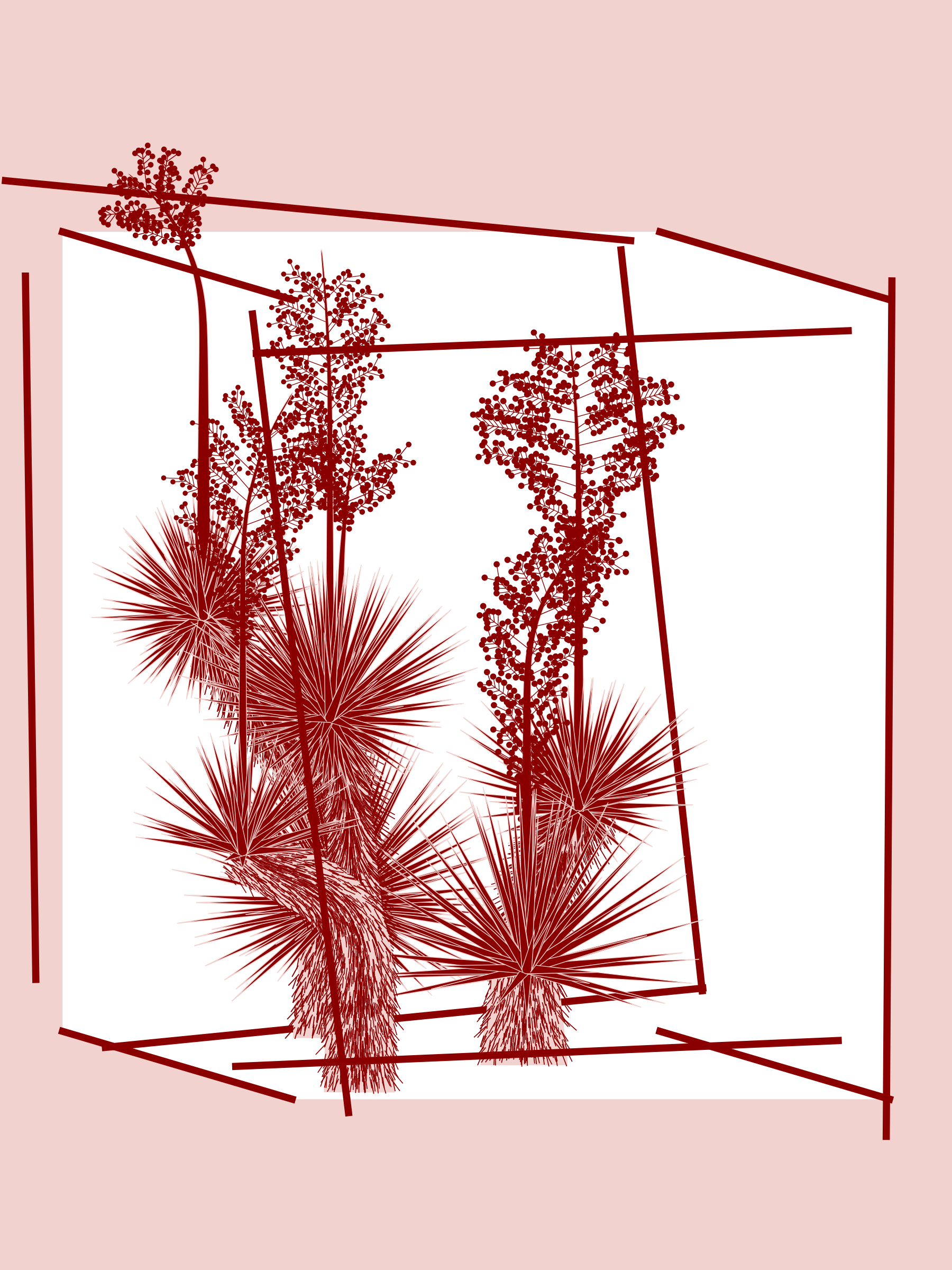 Marfa Yucca #174