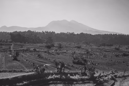 Bali in Black & White #21