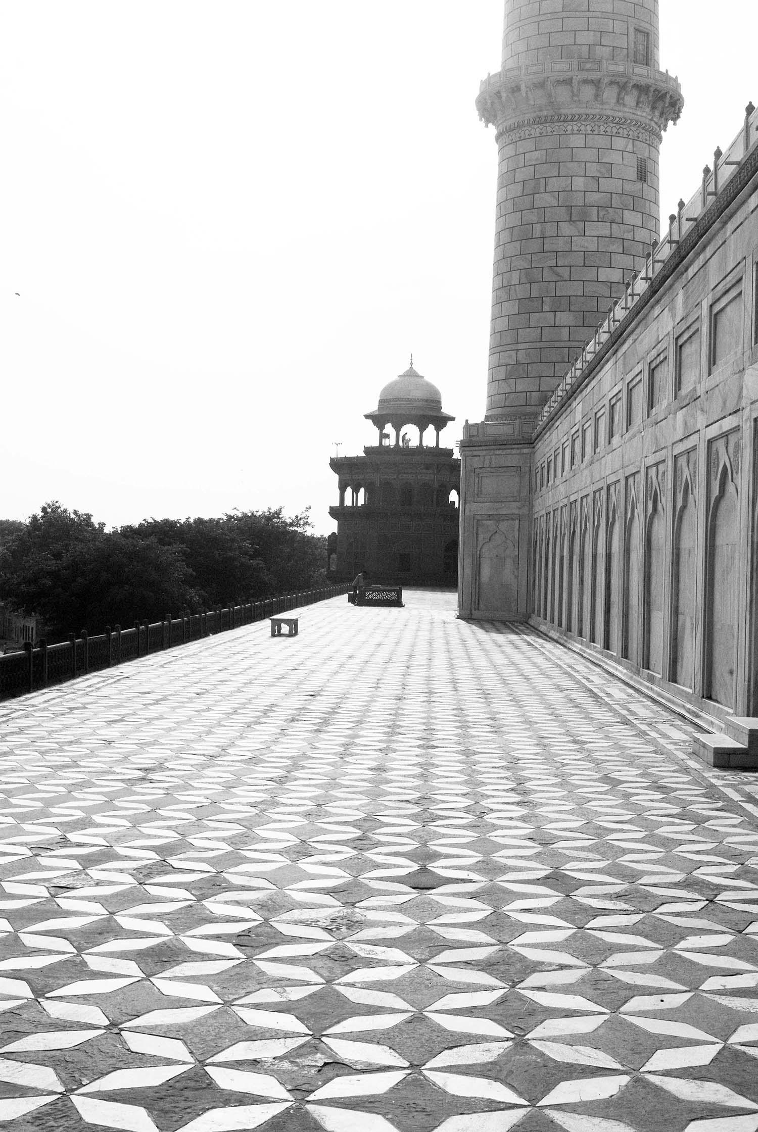 Taj Mahal #59