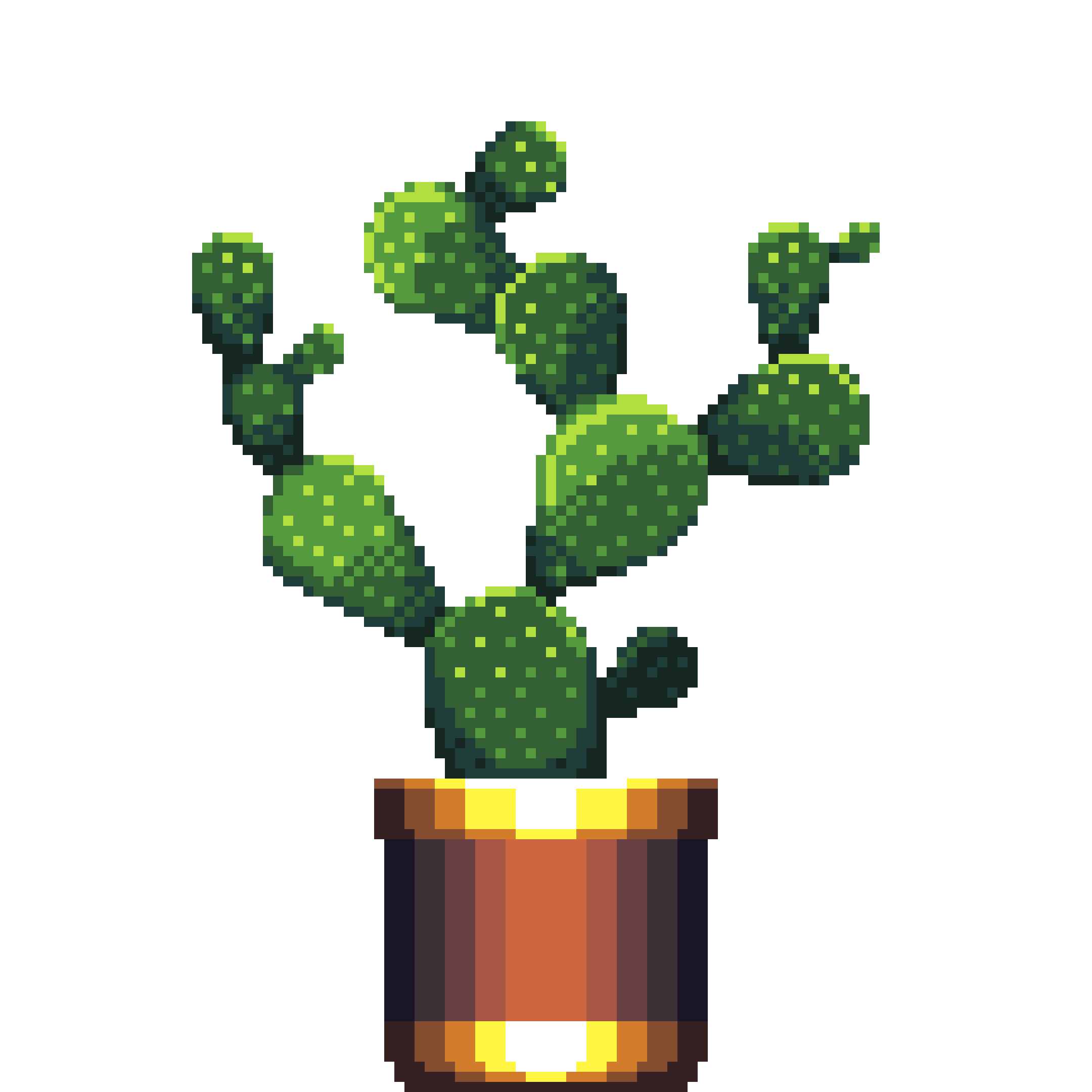 Bunny Ears Cactus in Large Dual Tone pot