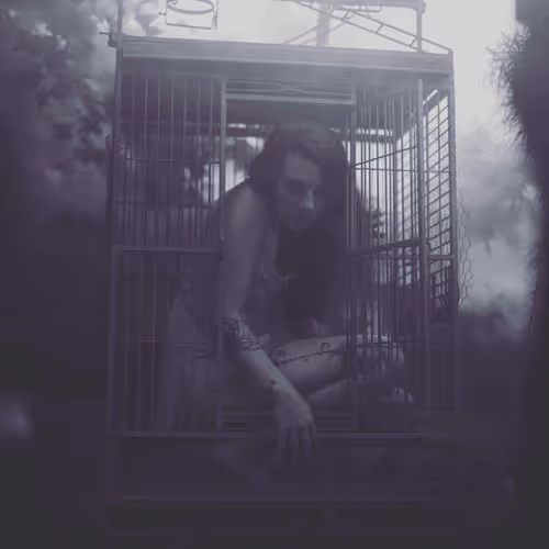Photo #170