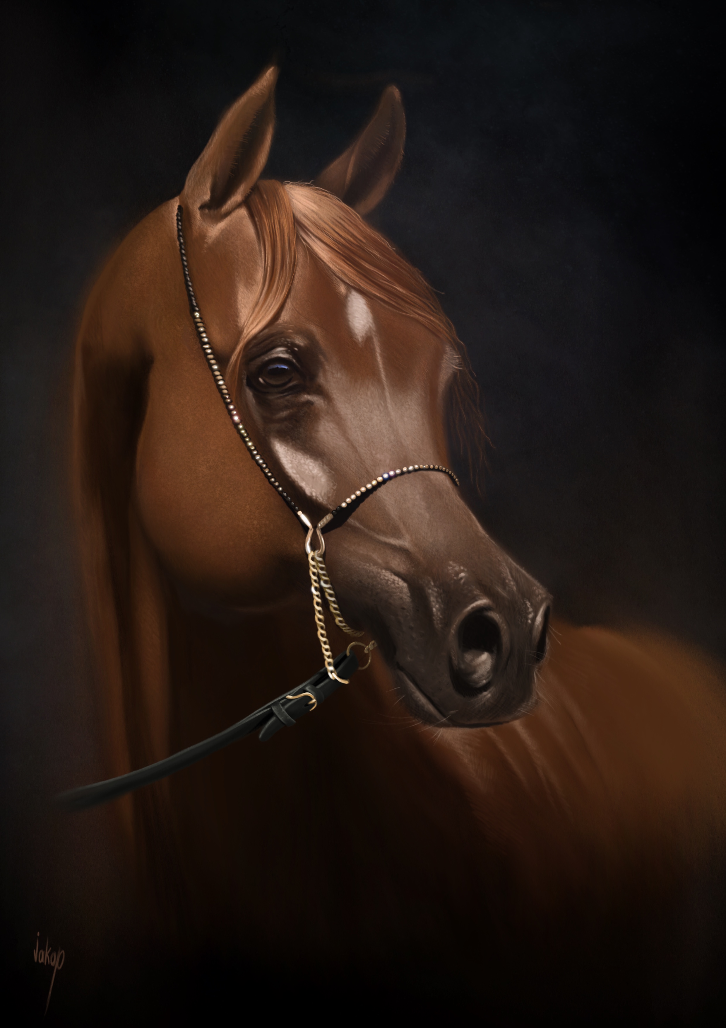 HORSE