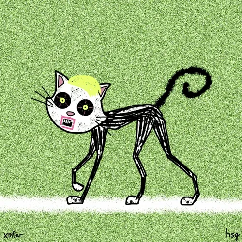 cat #82