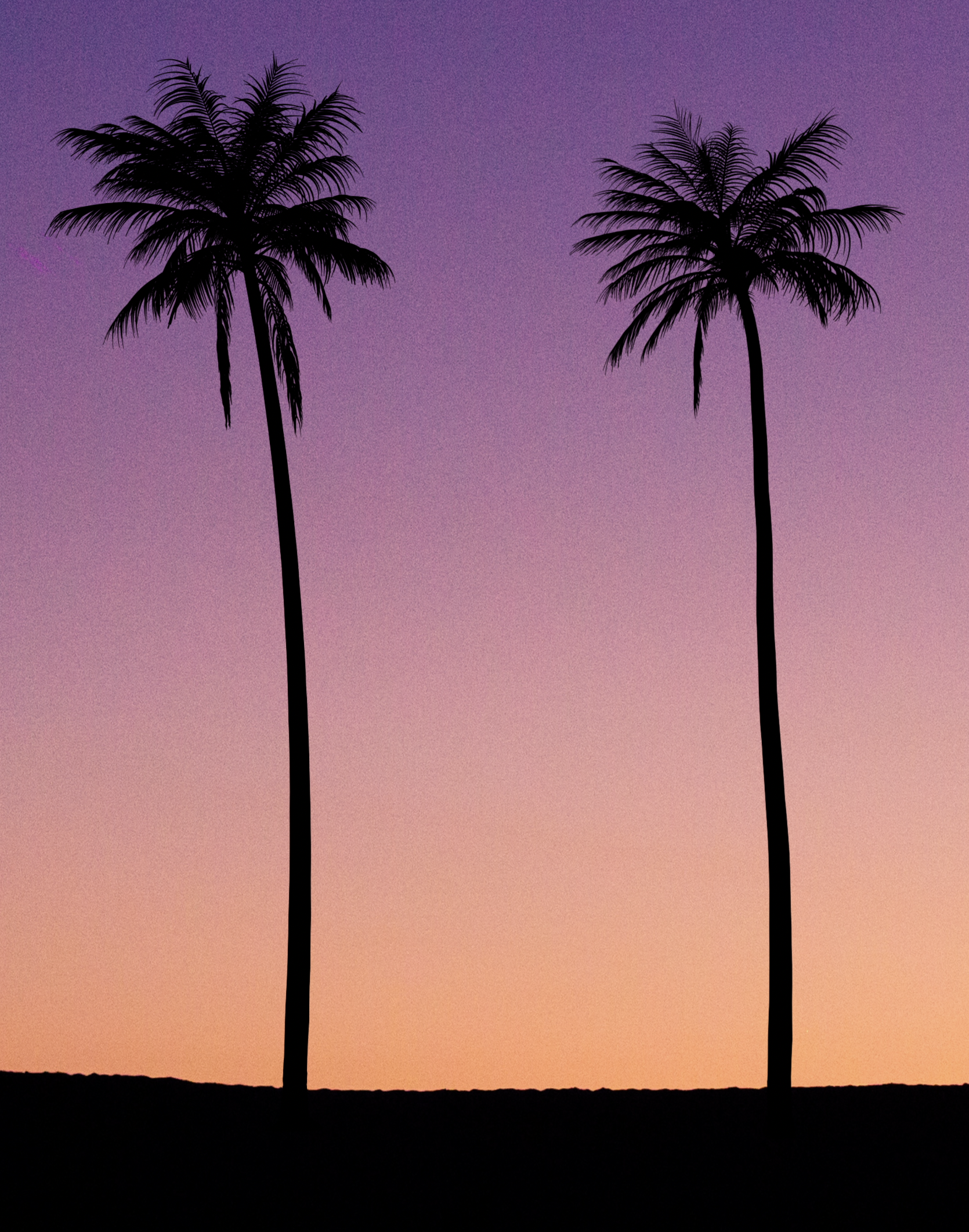 Twin Palms