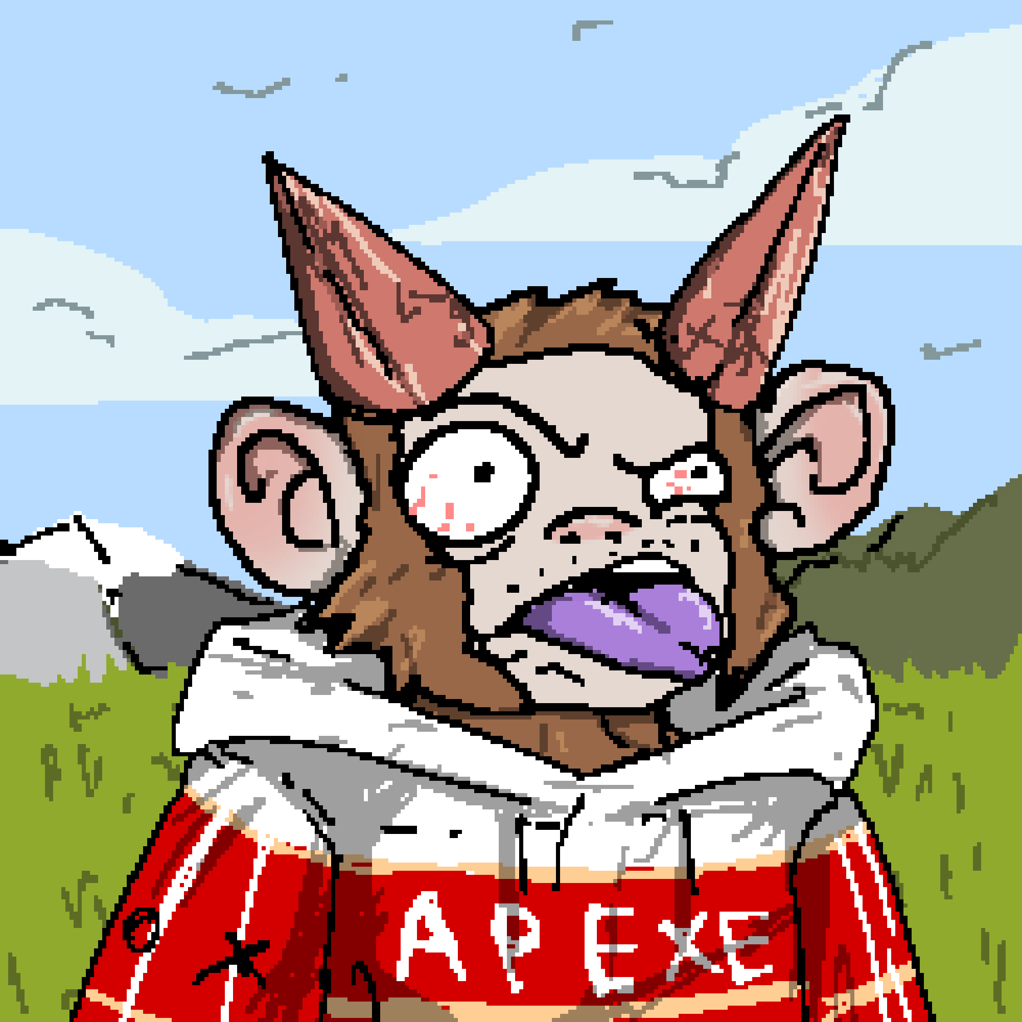 apEXE #1993