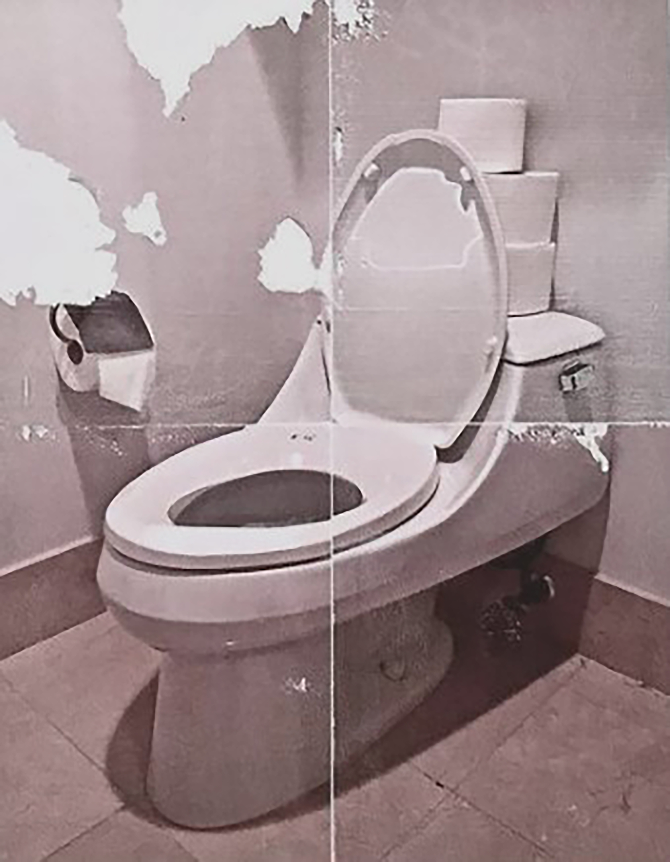 Toilet 01