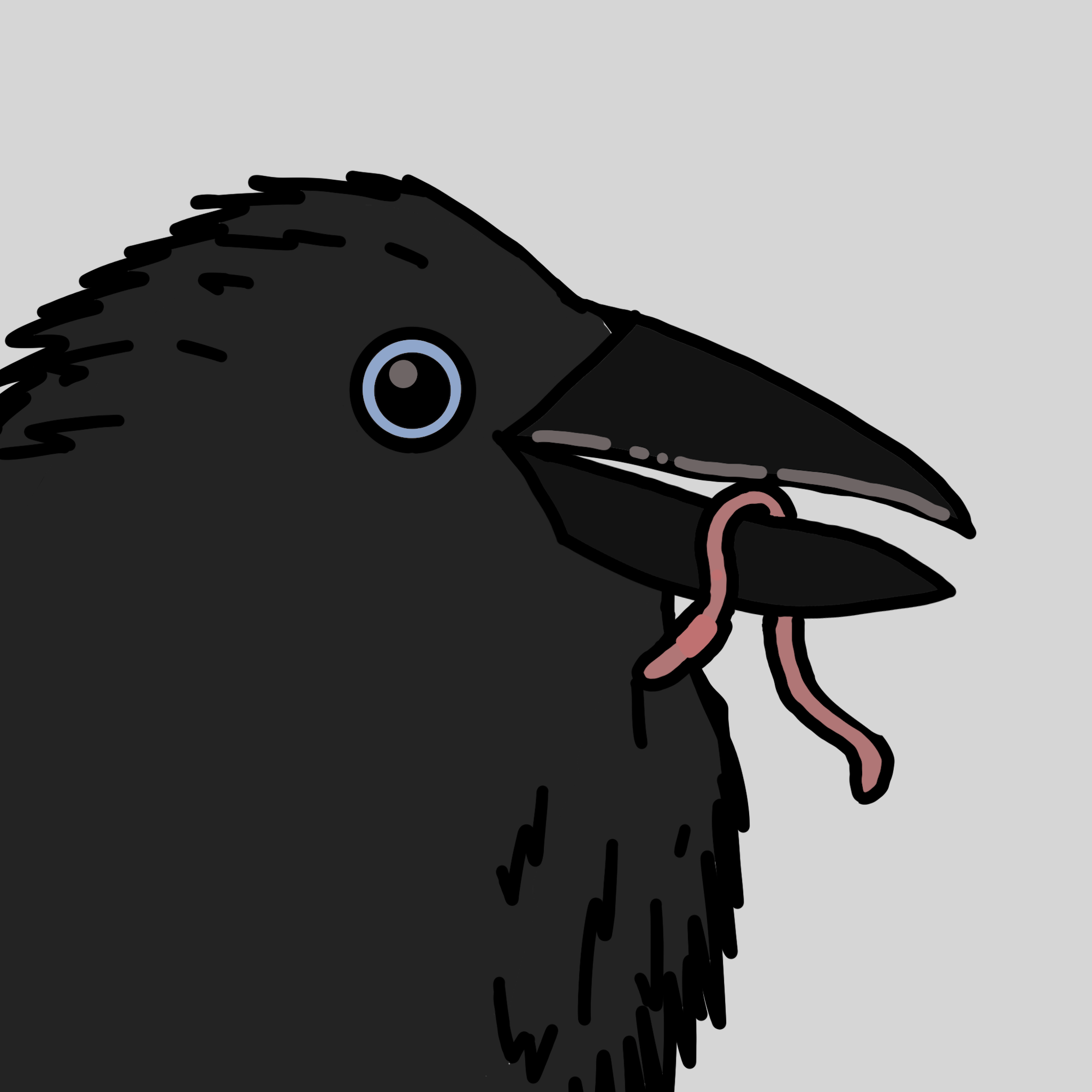 Crow Friends #999