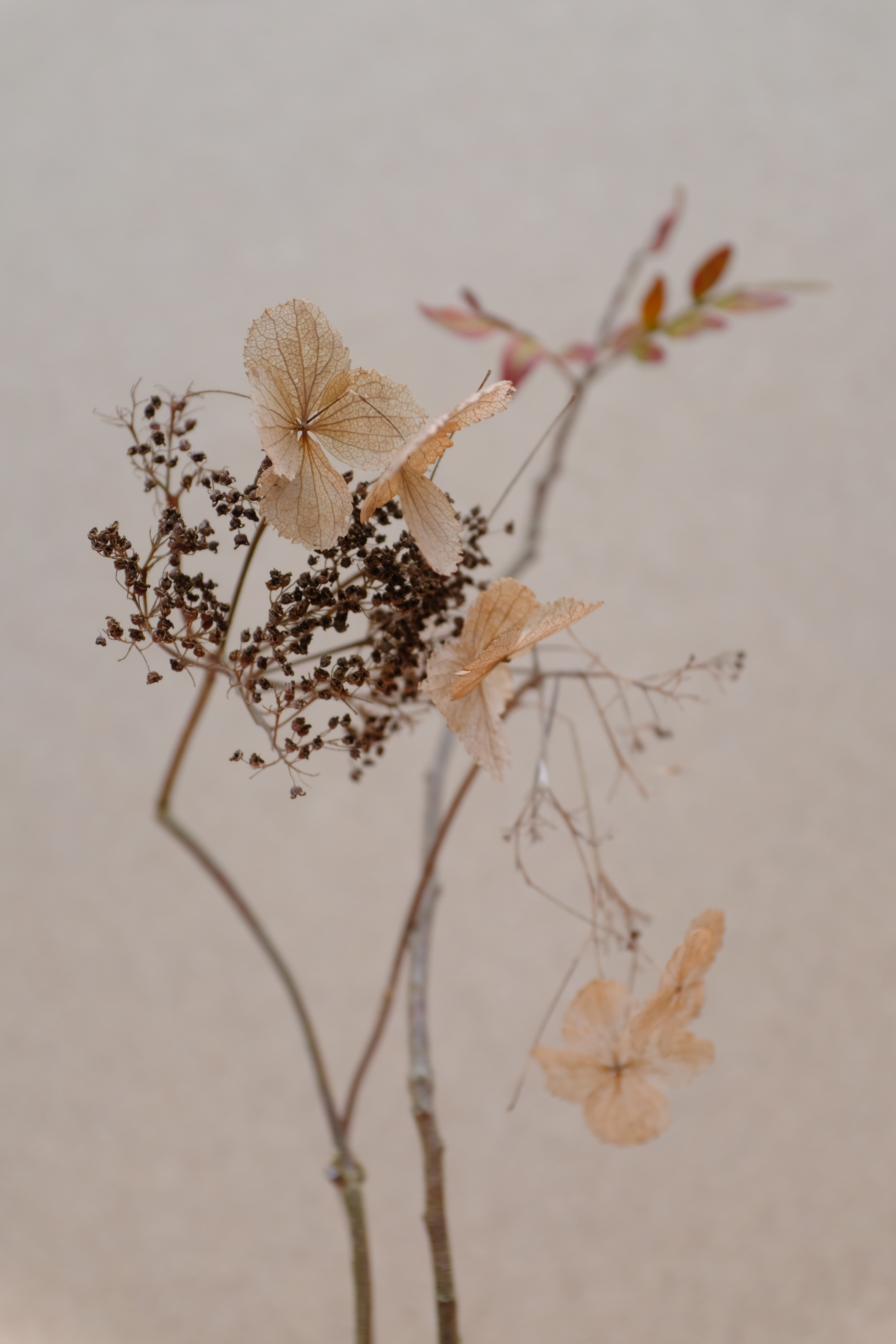Atelier.19