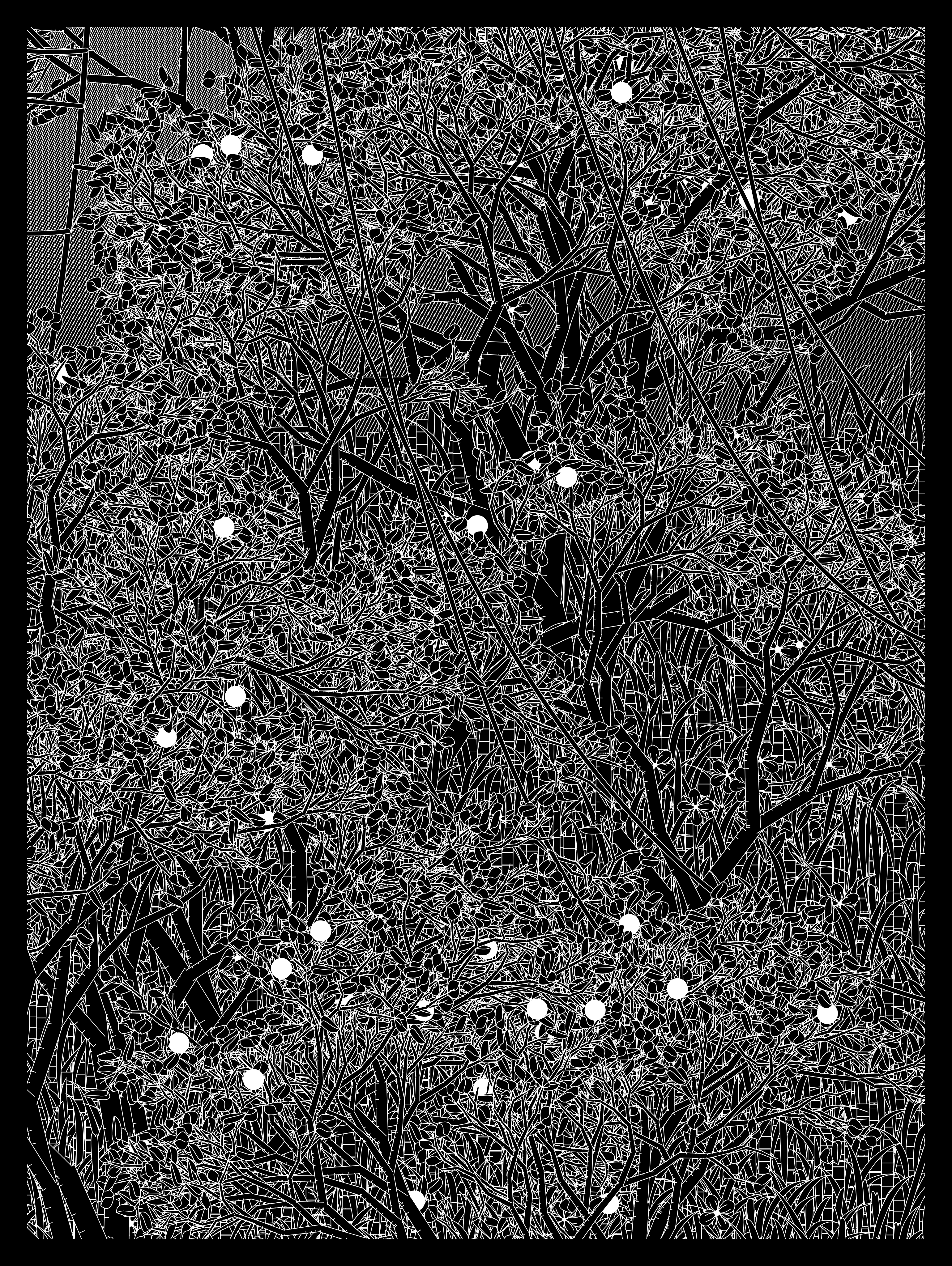 Entangled #366