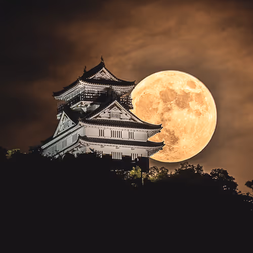 Night of Moon Castle Japan