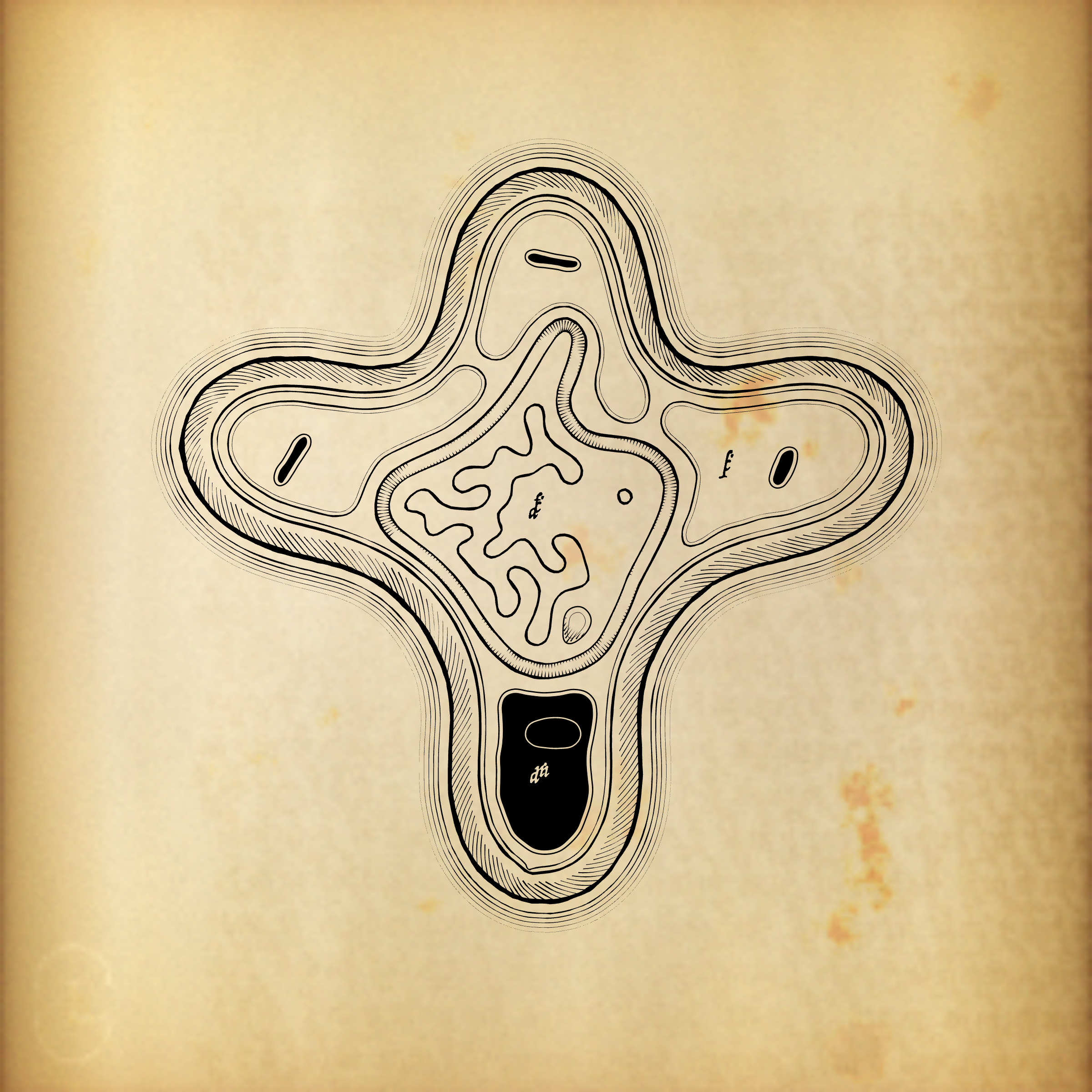 Cytographia #372