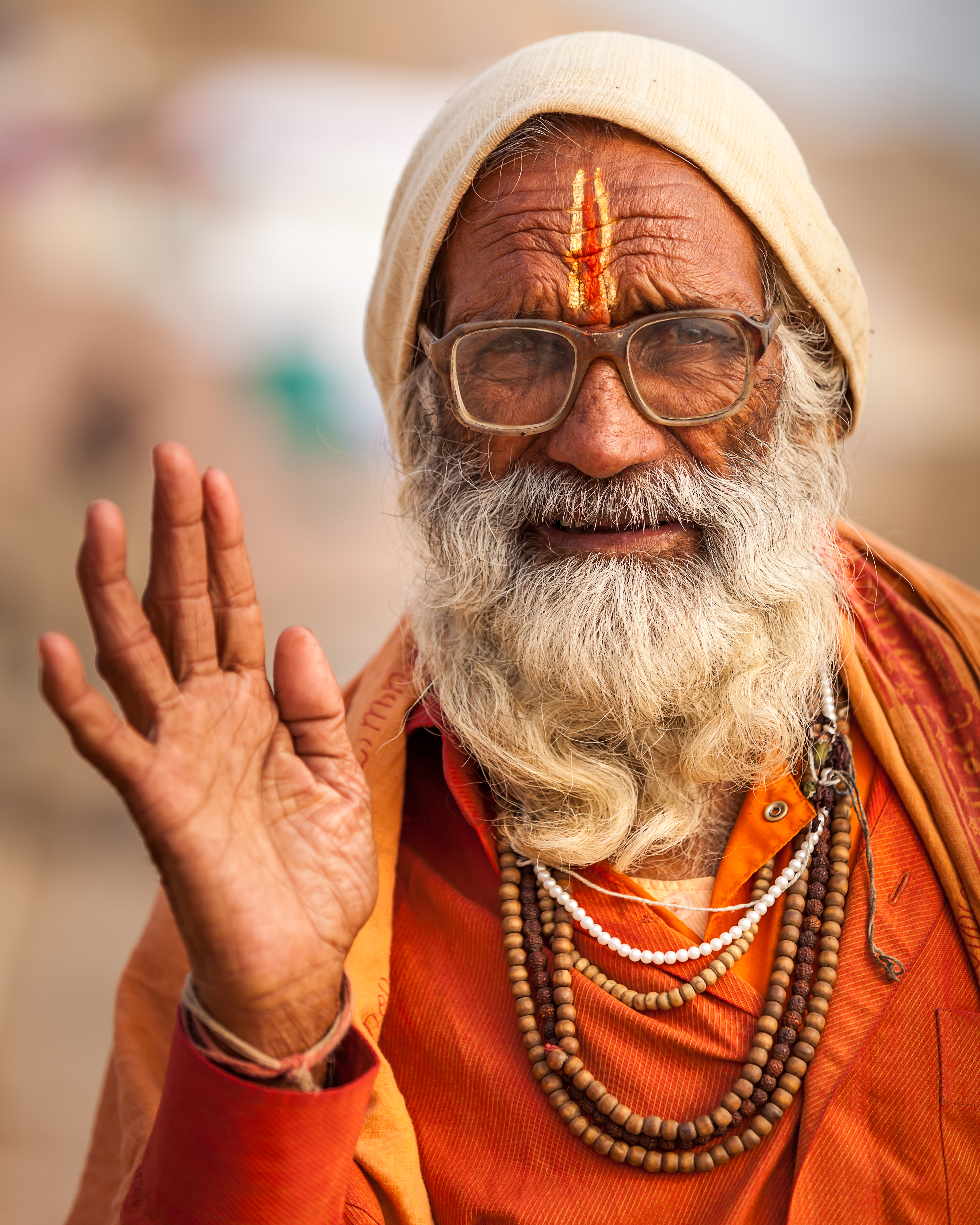 Portrait of a Sadhu