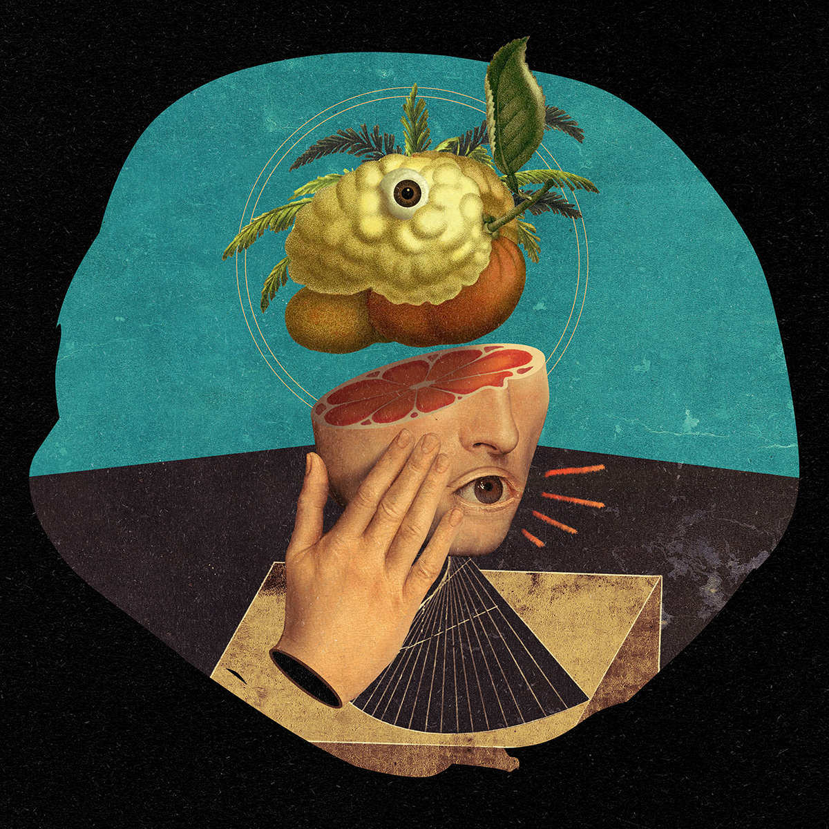 Kittball 014 / Juicy Thoughts